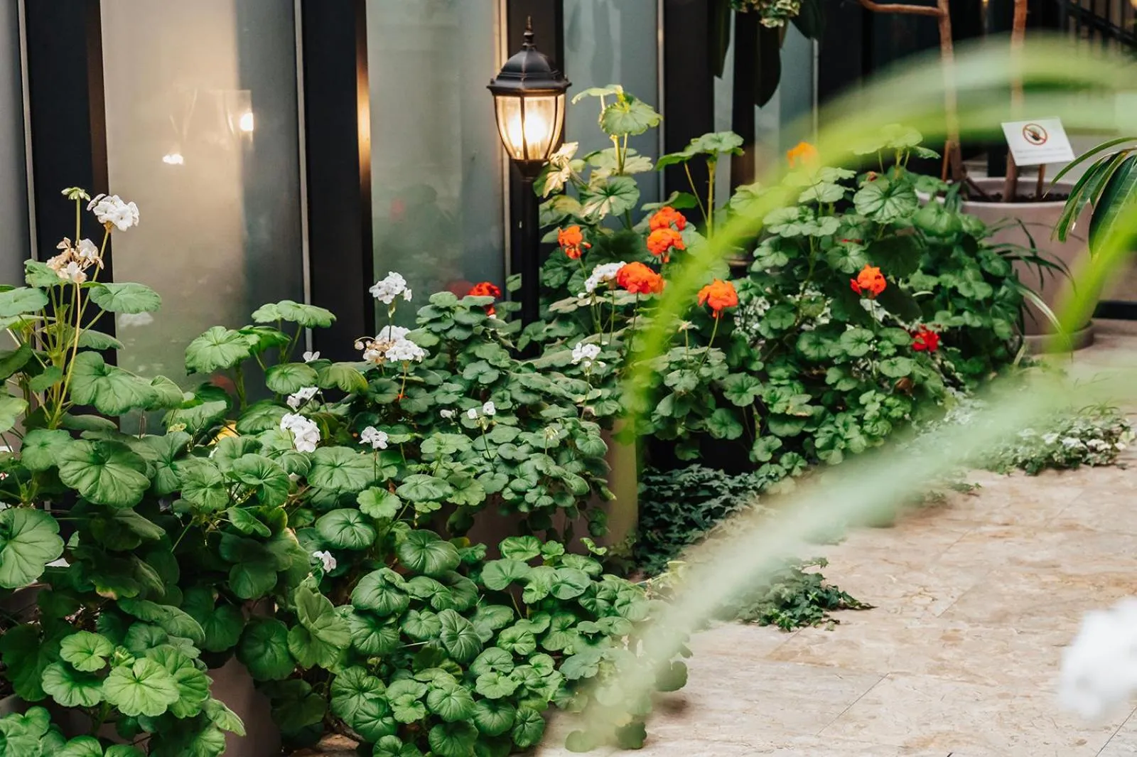 Garden in Tbilisi Laerton Hotel