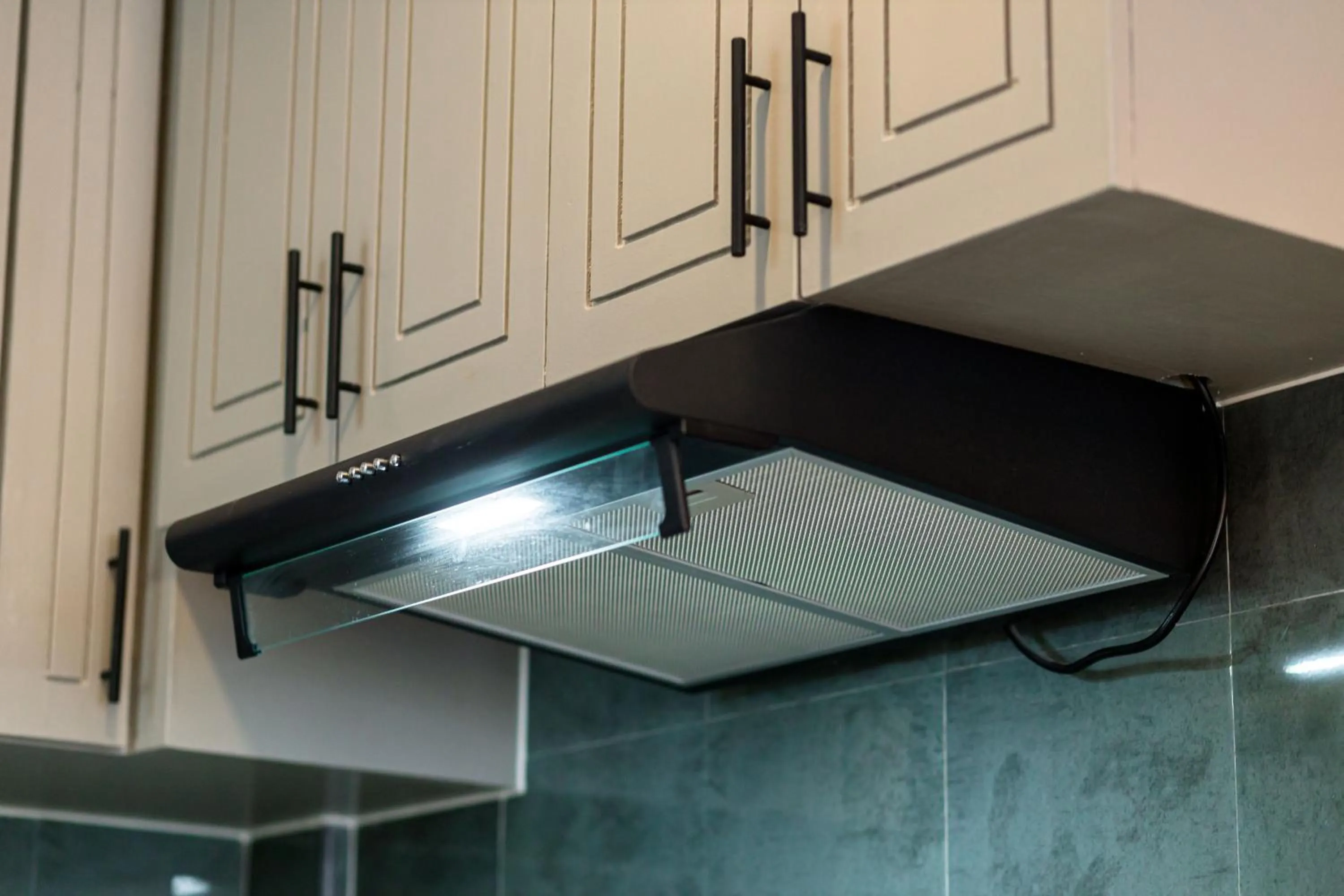 Kitchen or kitchenette in E L Westensee Resort