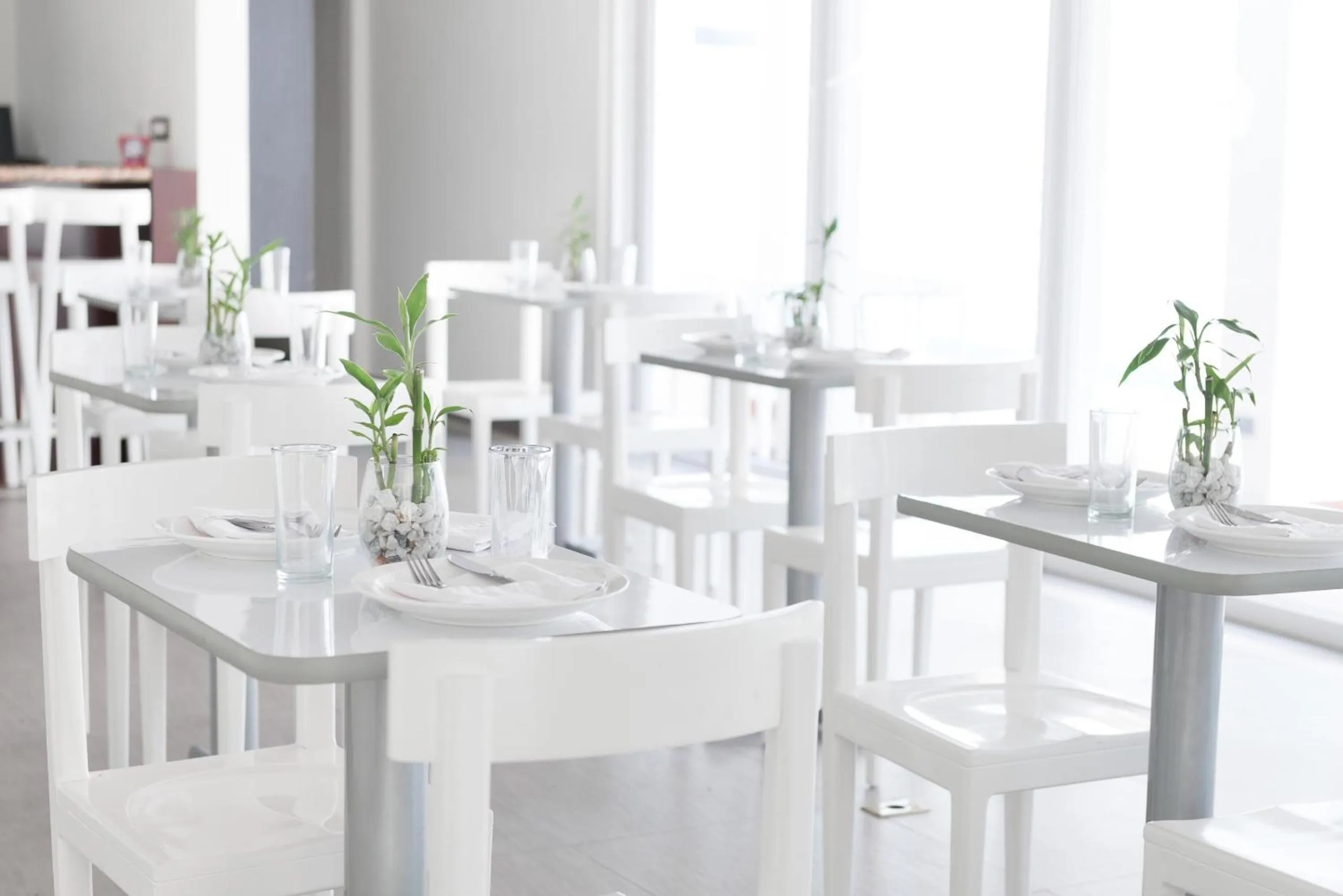 Restaurant/places to eat in Hotel Latitud 15