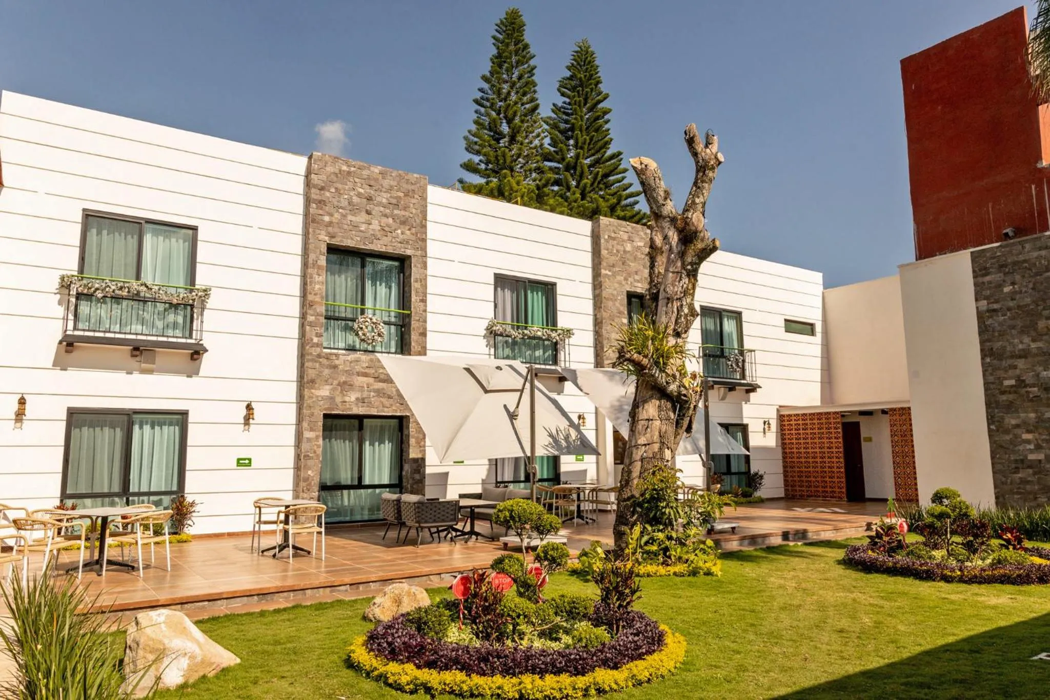 Garden in Hotel Boutique Típico