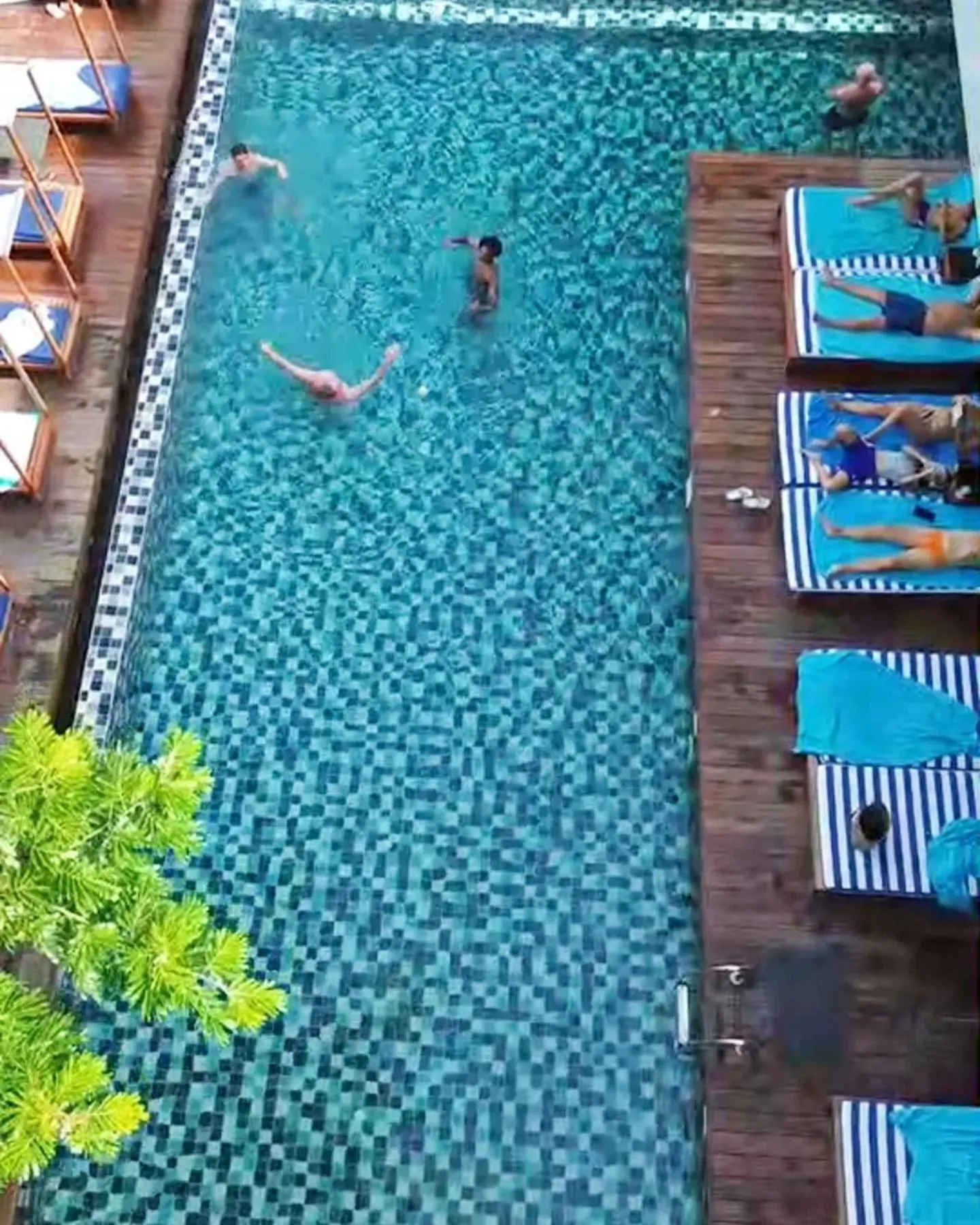Swimming pool in Casa De Mar - Koh Samui