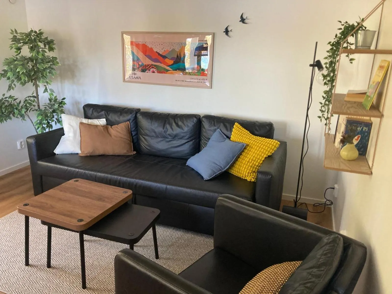 Långasjönäs Camping & Stugby