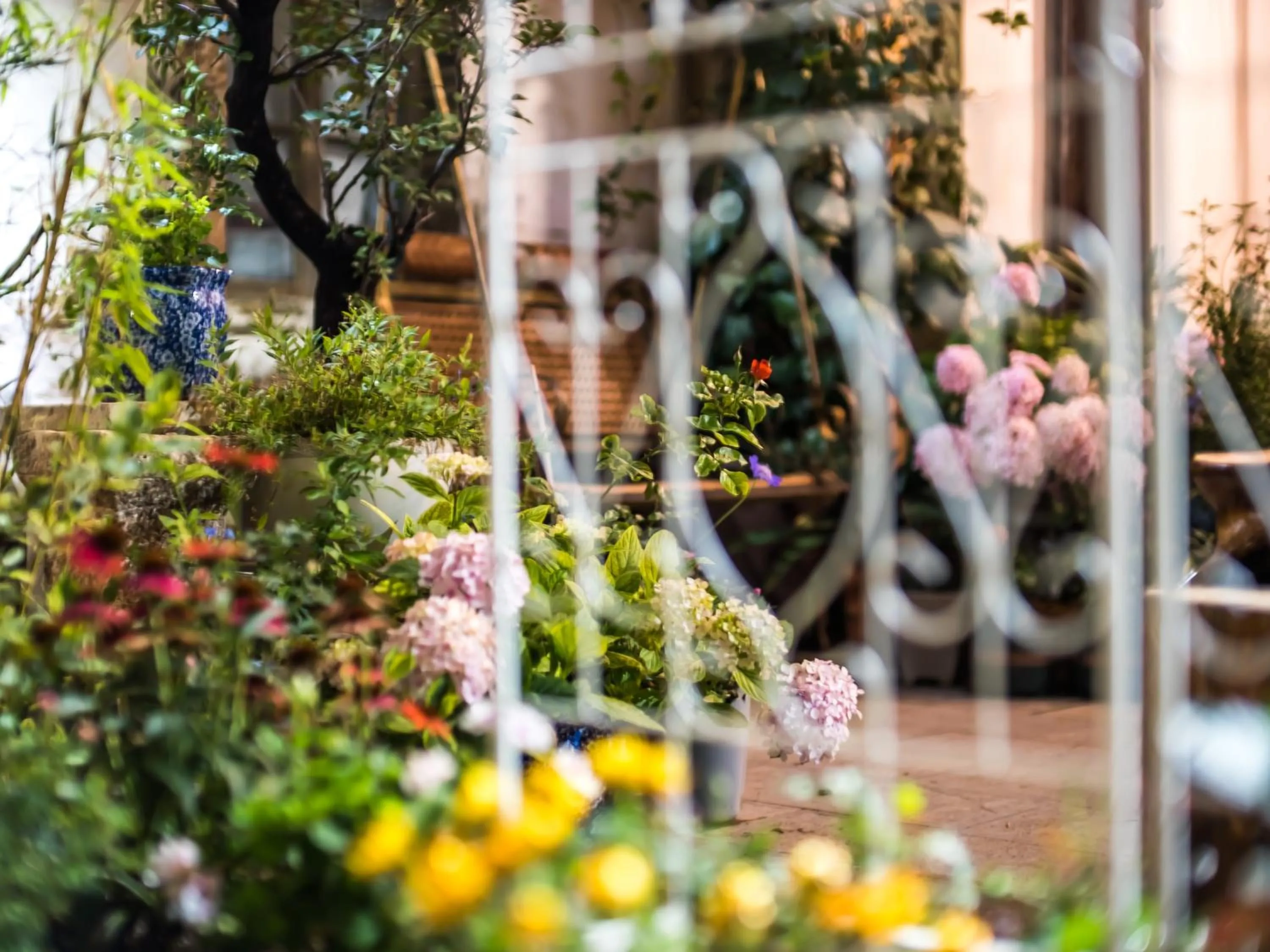 Day in Tuo Tuo Guest House