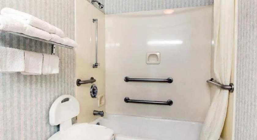 Econo Lodge Inn & Suites Forest