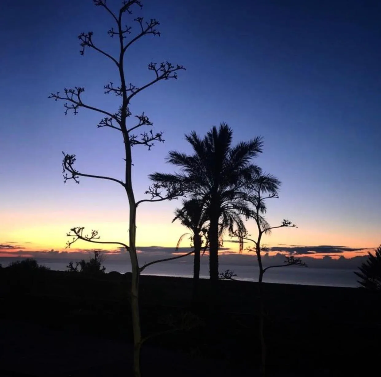Natural landscape in Cortijo El Paraíso