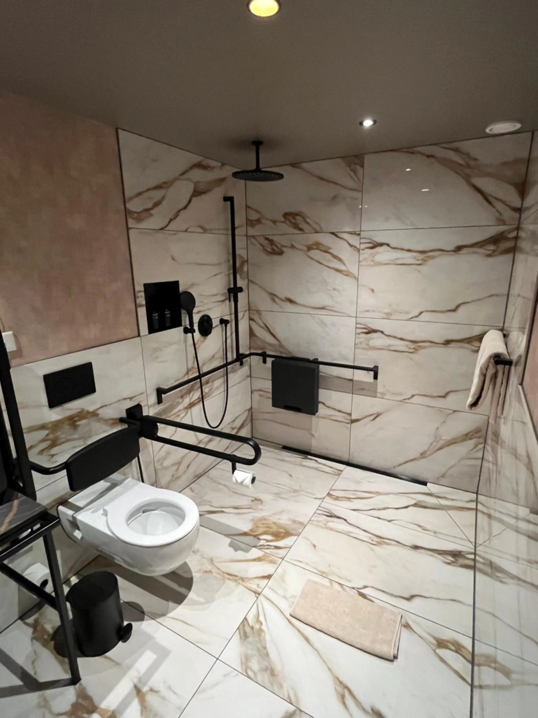 Toilet in AMIA Hotel Singen