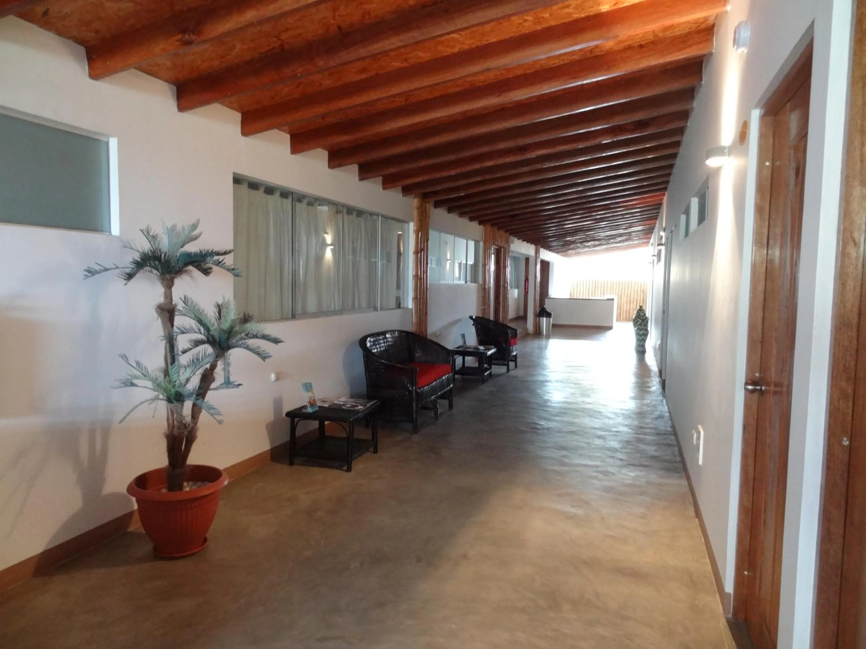 Area and facilities in Akas Hotel Apartamentos