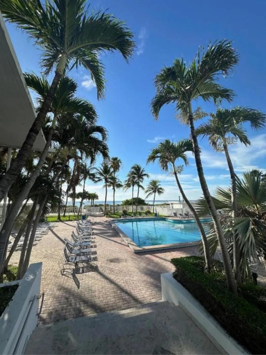 Swimming pool in Casablanca miami beach