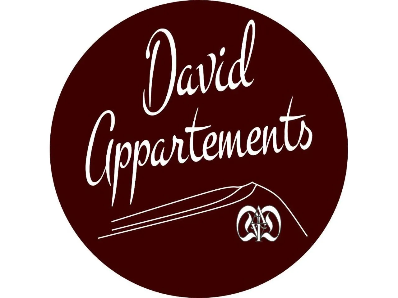 Large One-Bedroom Apartment in David Appartments