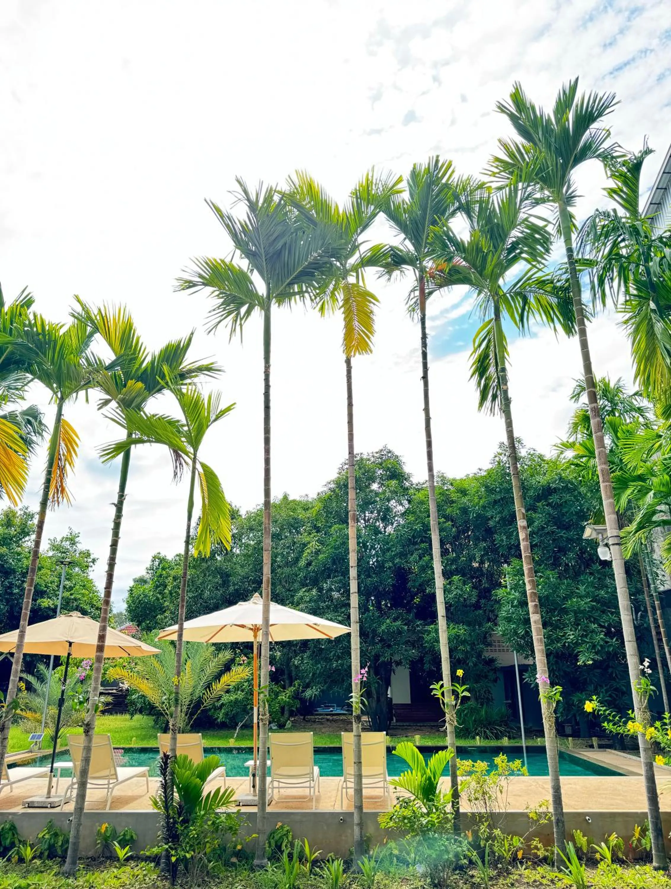 Garden in Mealy Villa