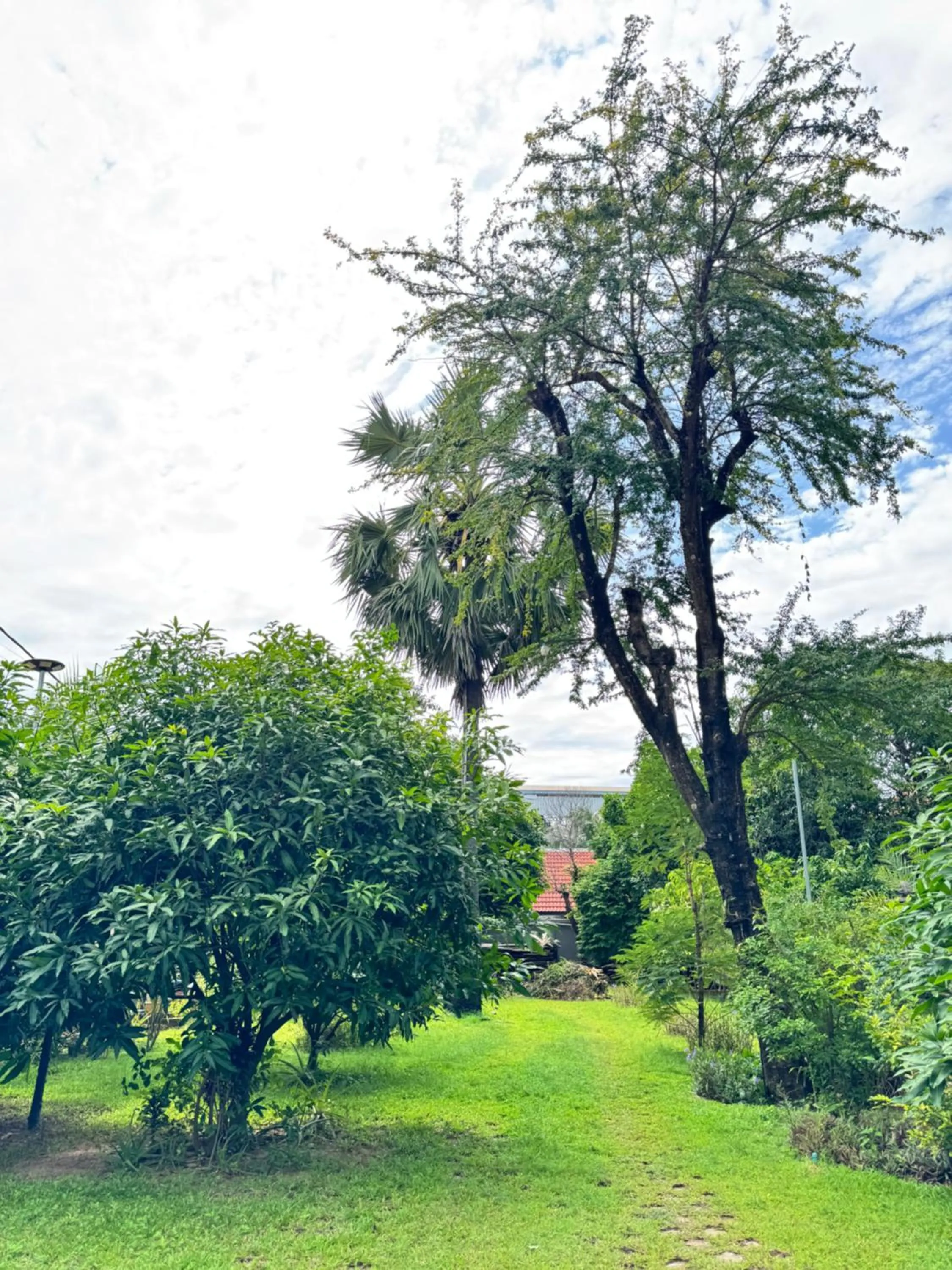 Natural landscape in Mealy Villa