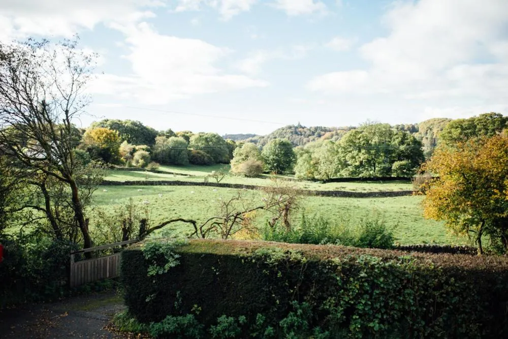 Natural landscape in The Brown Horse Inn