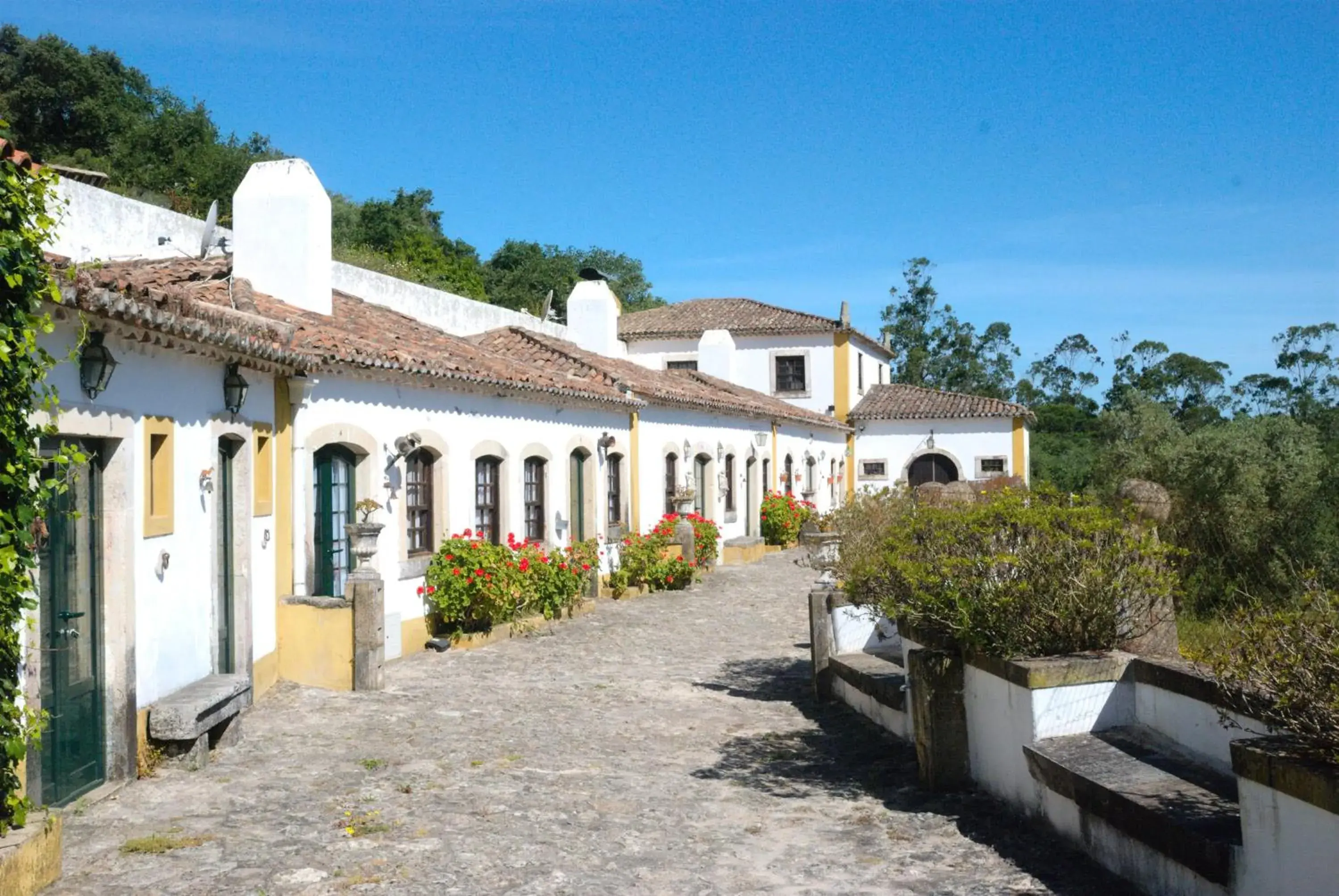 Quinta do Brejo - Turismo Equestre Quinta do Brejo - Turismo Equestre