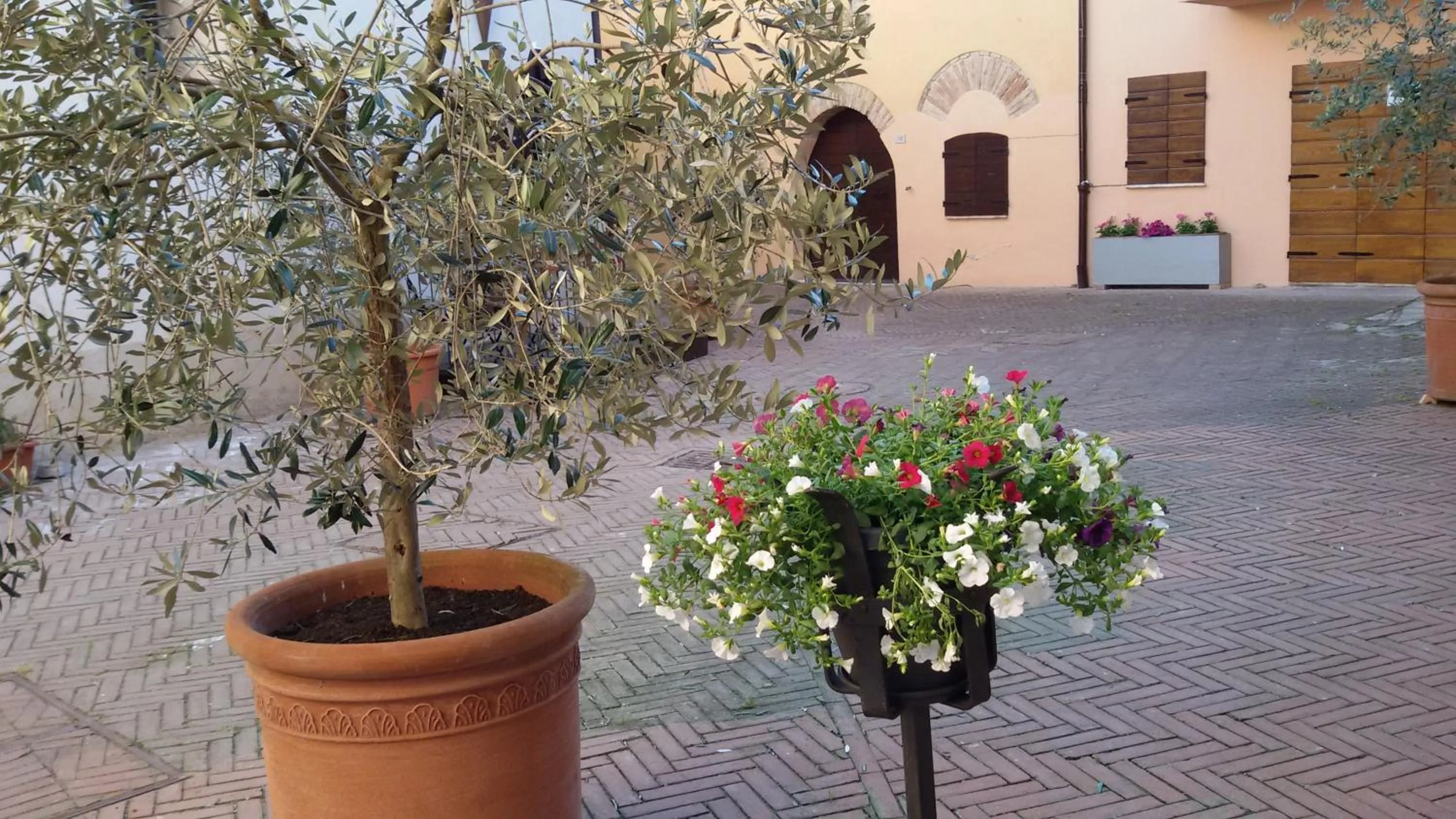 Garden in Torre della Botonta