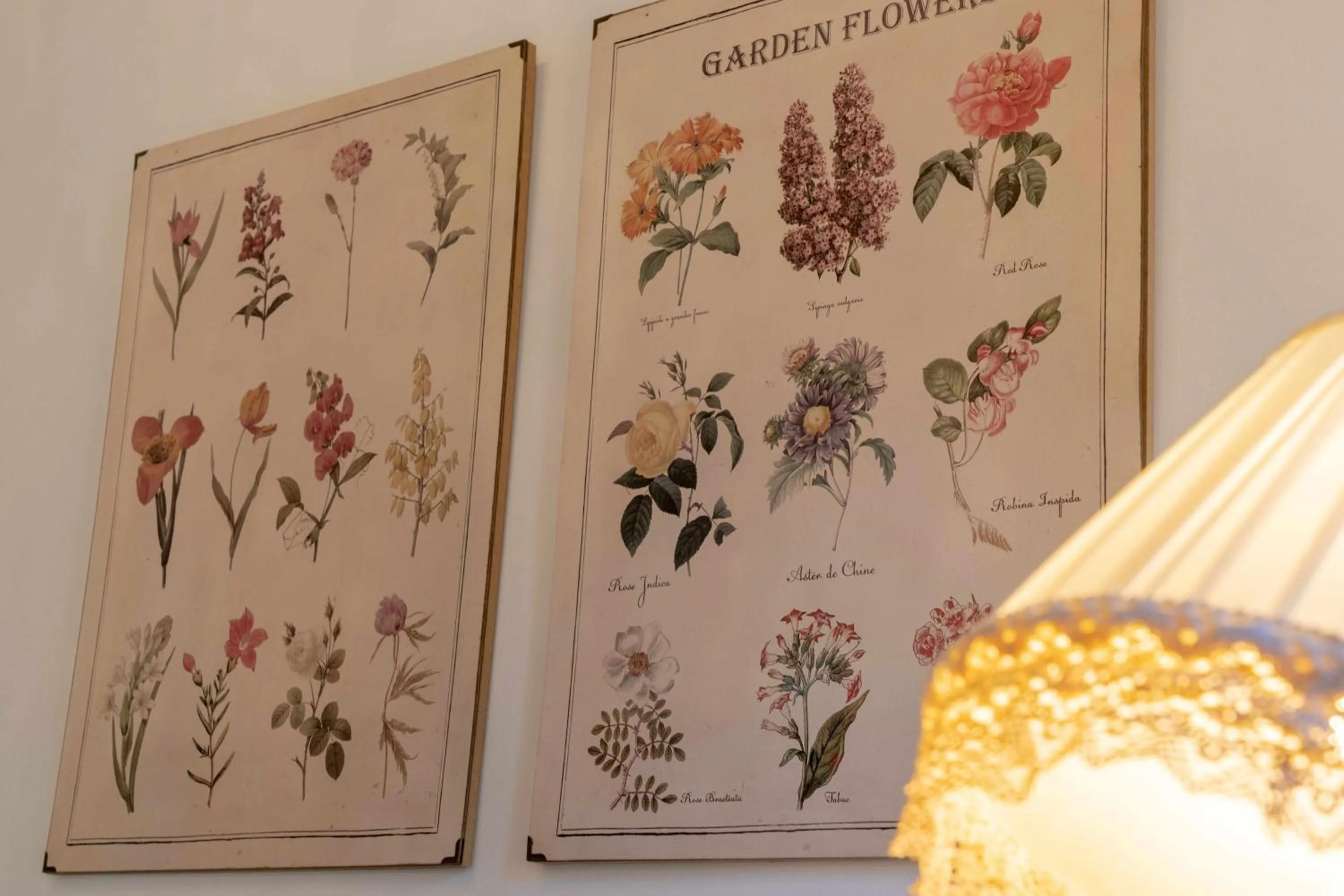 View (from property/room) in Apartamentos Arcadia