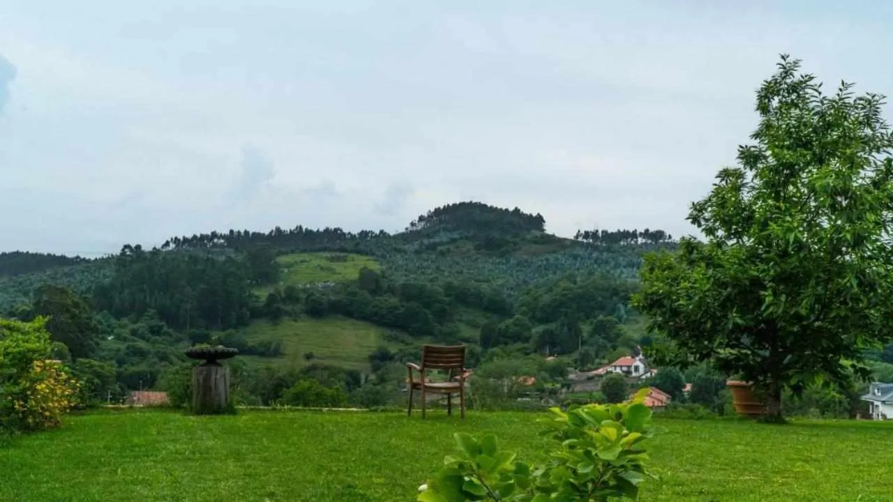 Apartamentos Arcadia