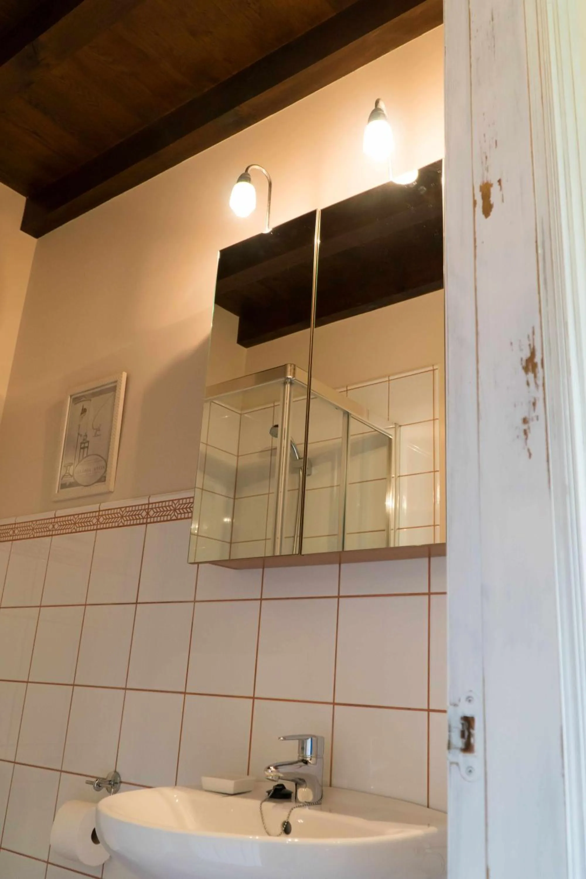 Shower in Apartamentos Arcadia