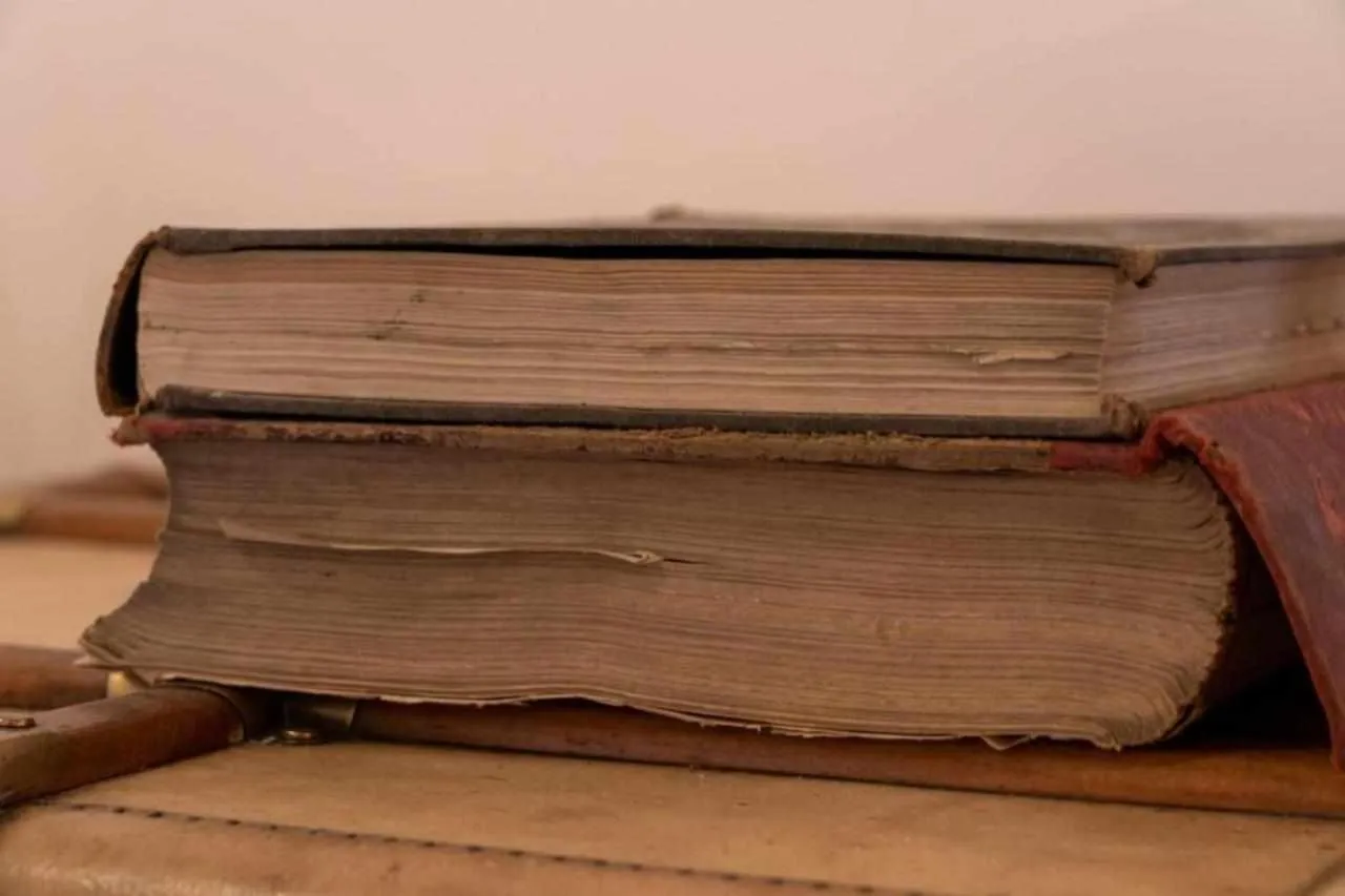 Apartamentos Arcadia