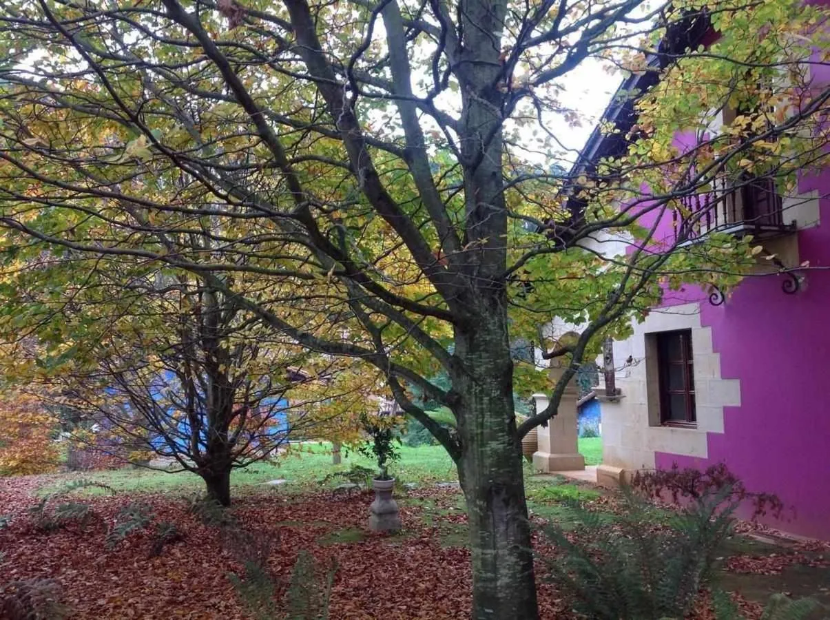 Apartamentos Arcadia