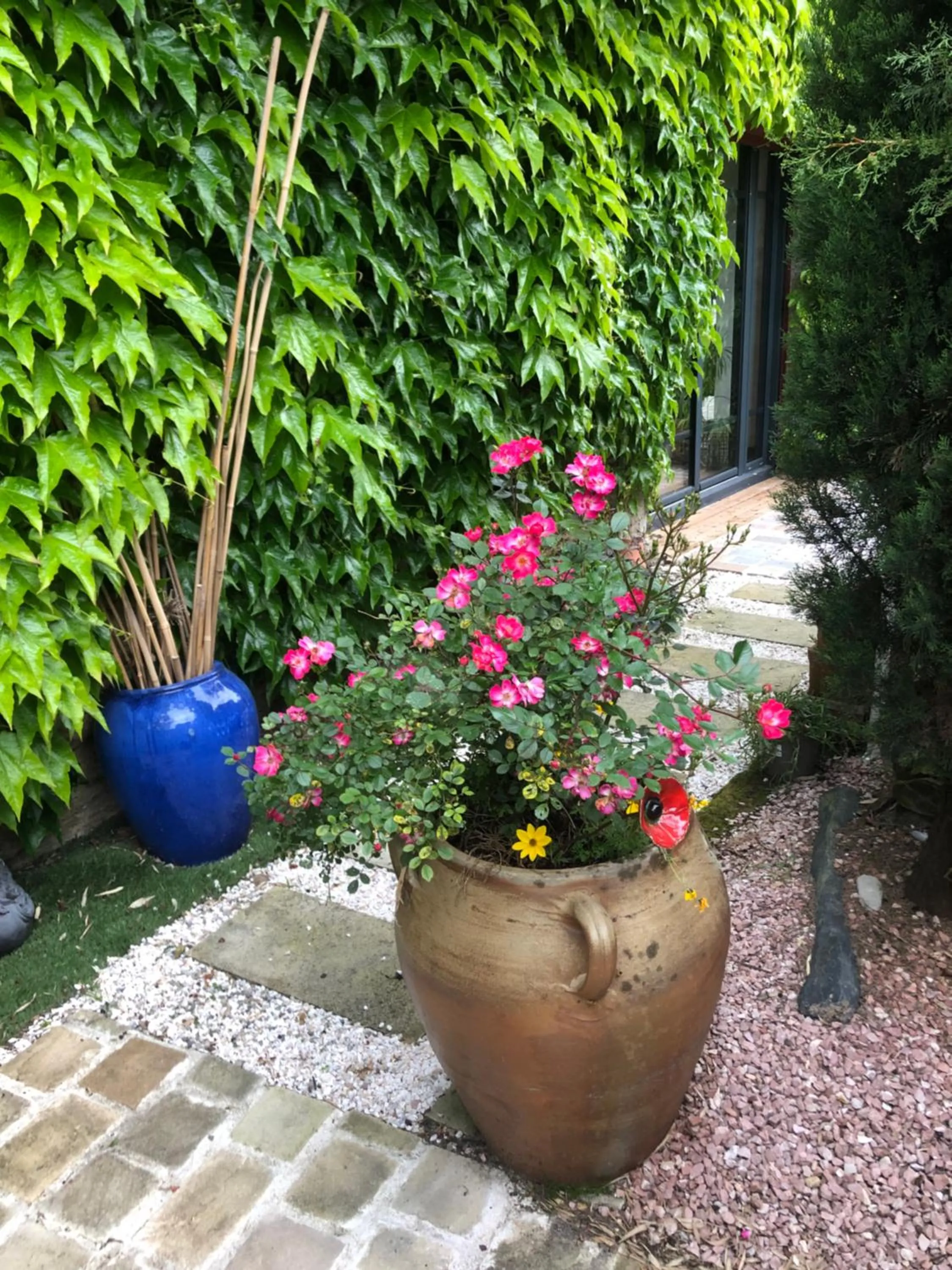 Family Suite in La Mulonniere