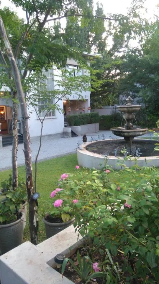 Garden in 29onTait Guest House