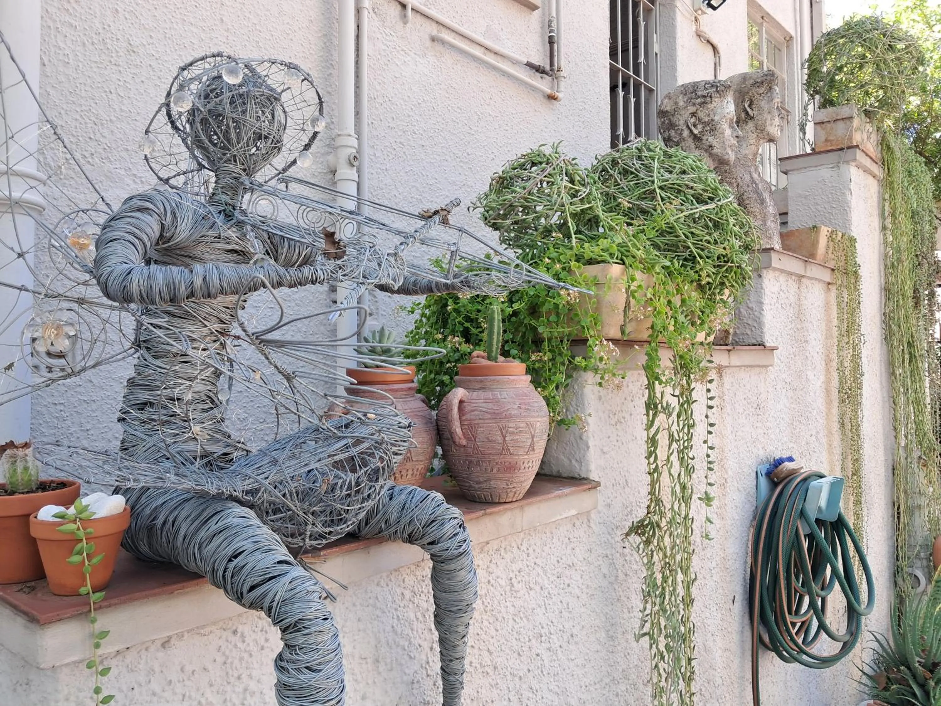 Garden in 29onTait Guest House