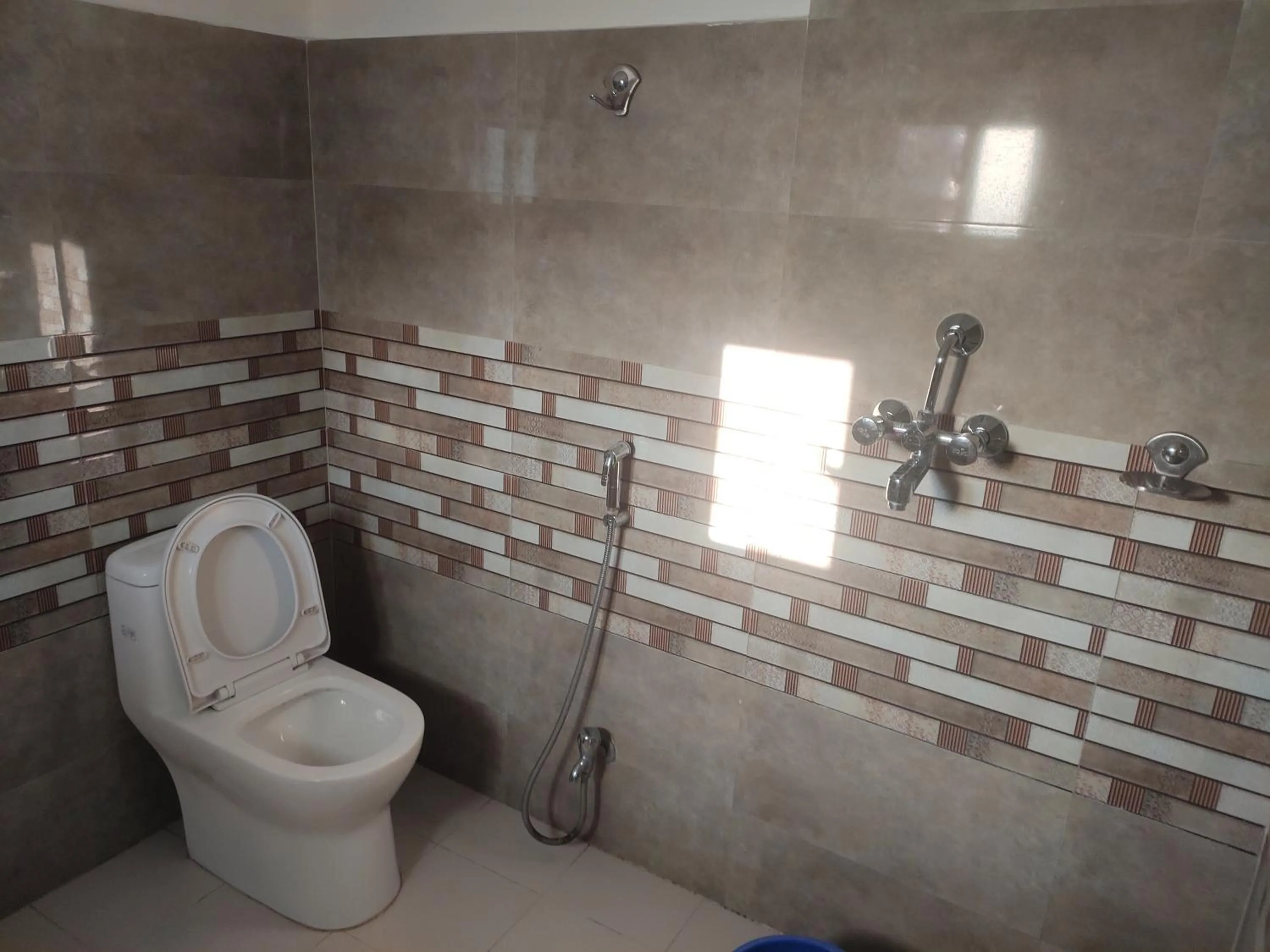 Toilet in Holy Lodge