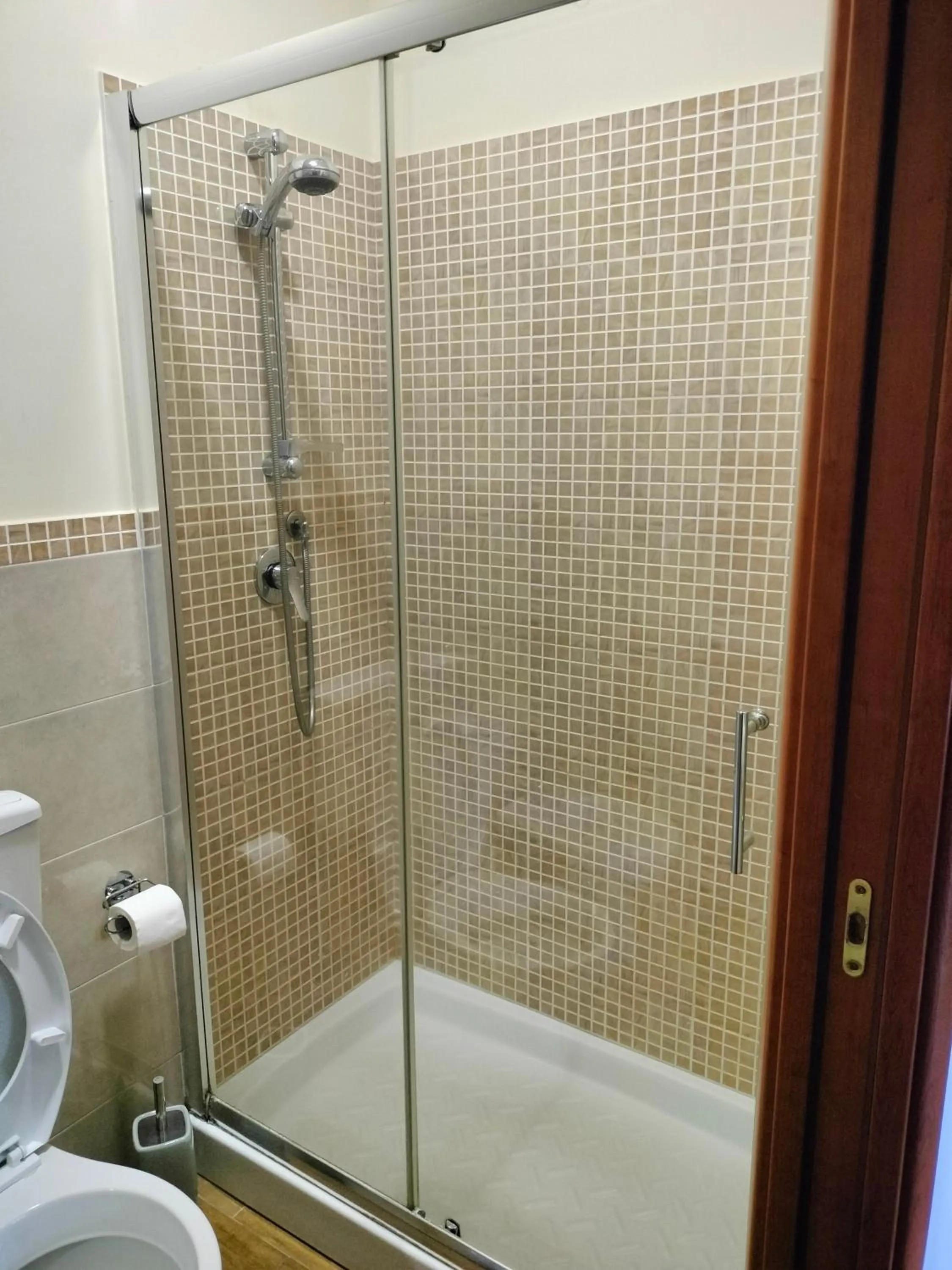 Shower in B&B Max