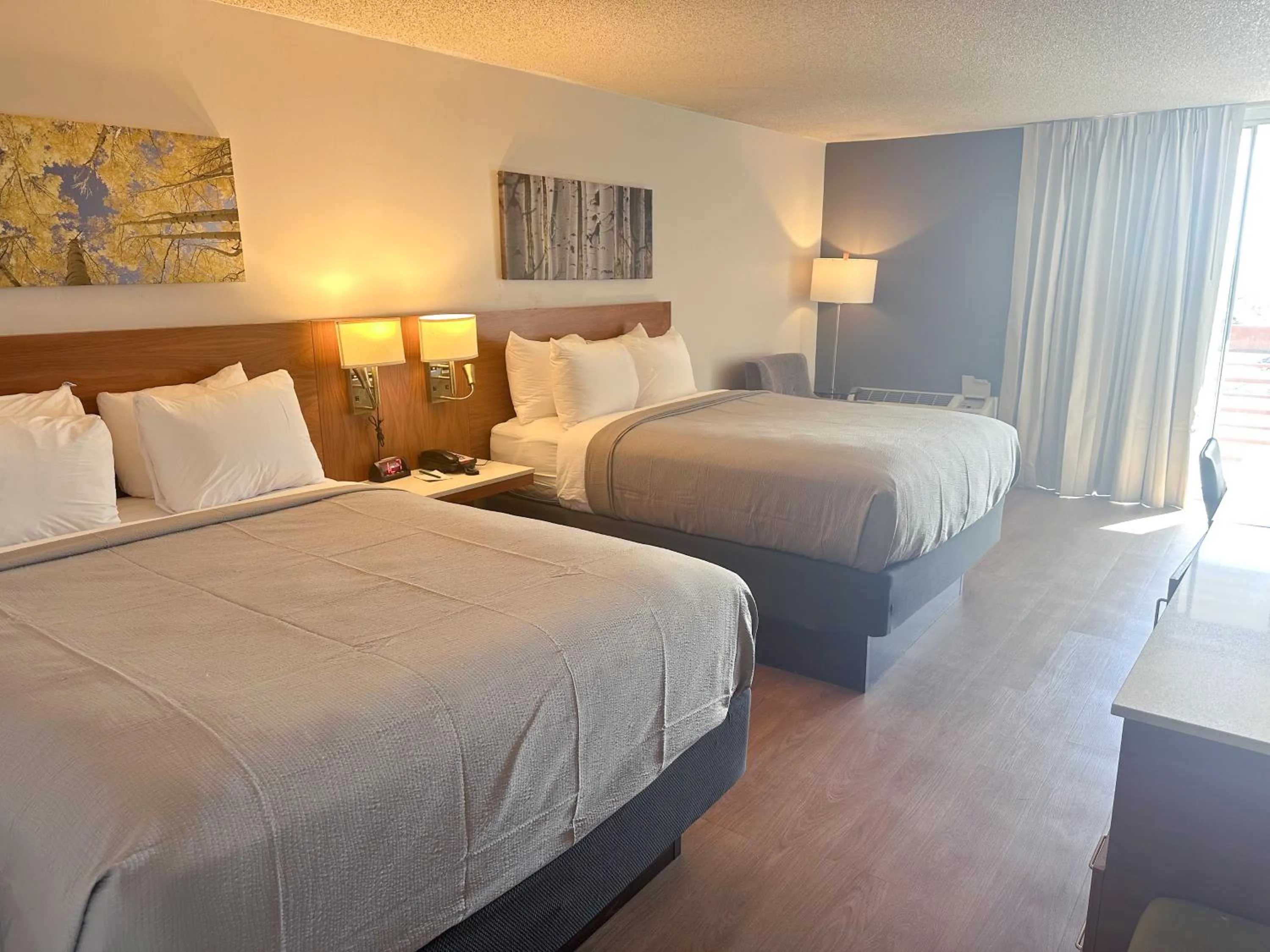 Bedroom, Bed in Quality Inn & Suites Fort Collins East