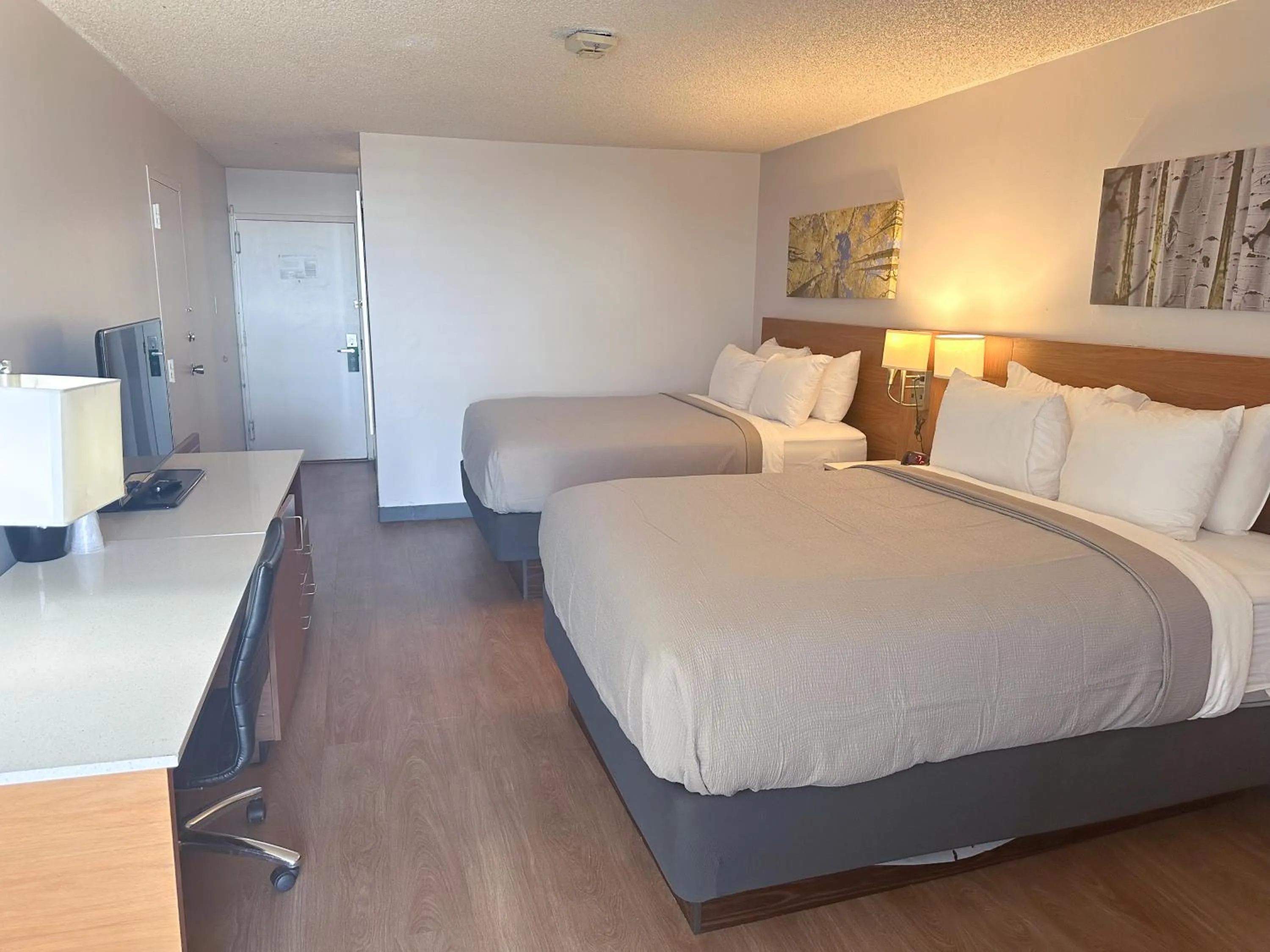 Bedroom, Bed in Quality Inn & Suites Fort Collins East