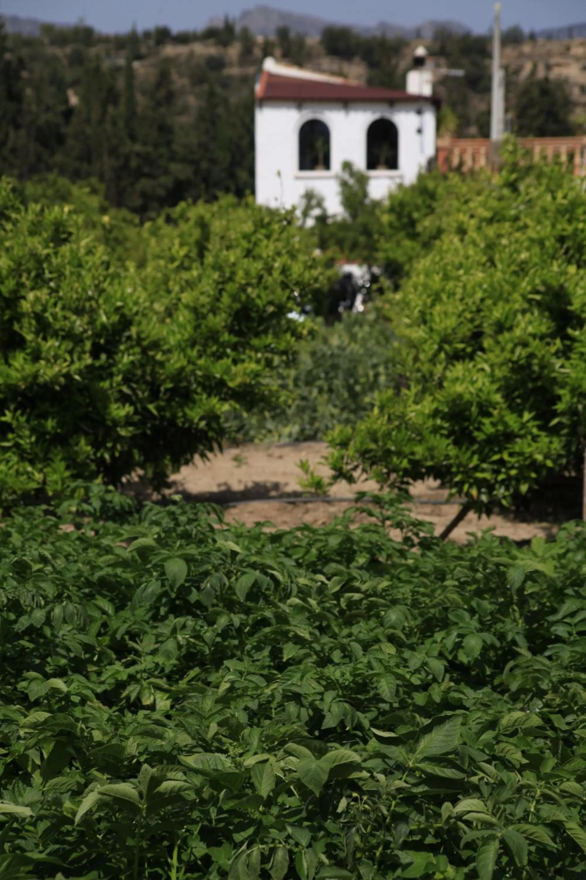 Garden in River Ebro Holidays