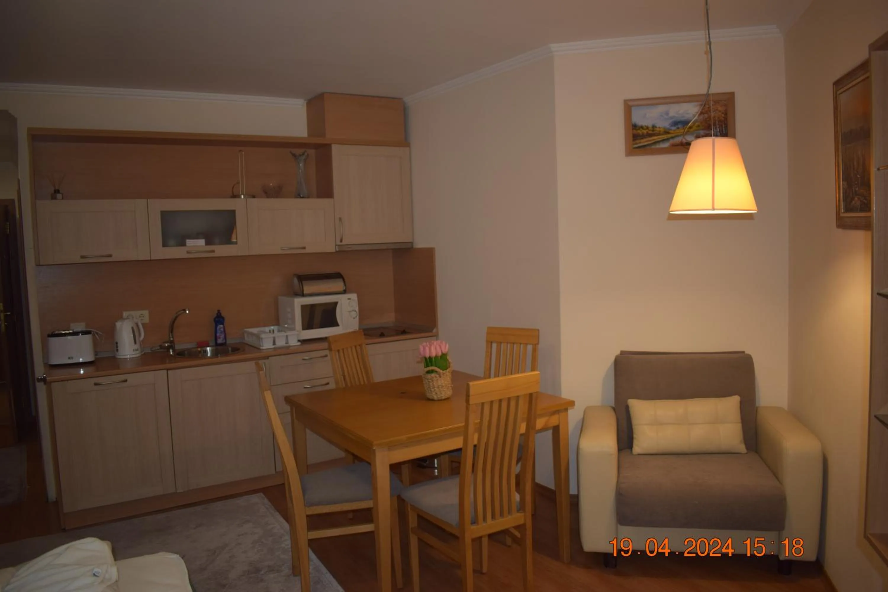 Villa Park Guest Apartments