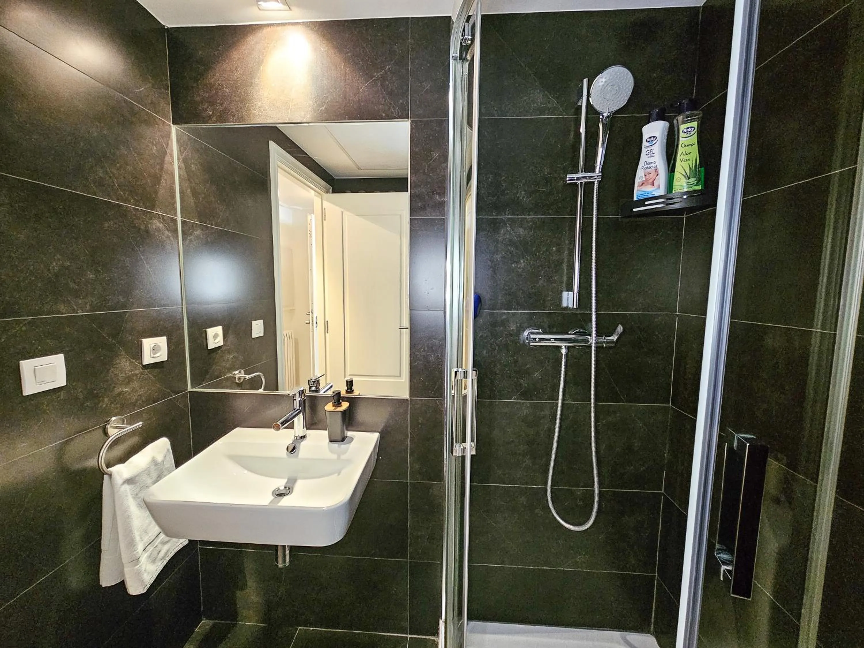 Shower in Apartamentos Zaragoza Independencia 3000