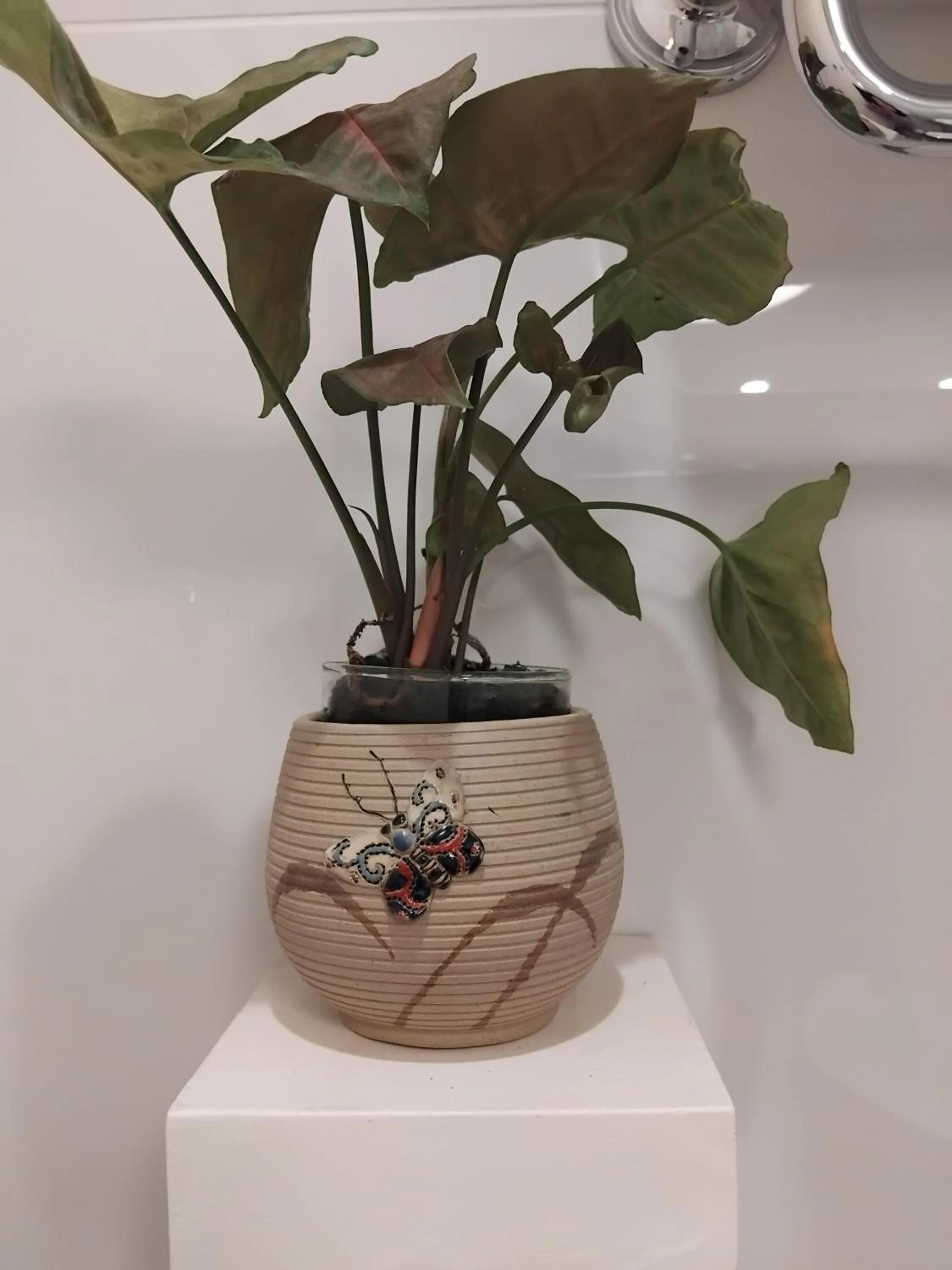 Decorative detail in KoenoKoeni Boutique Hotel