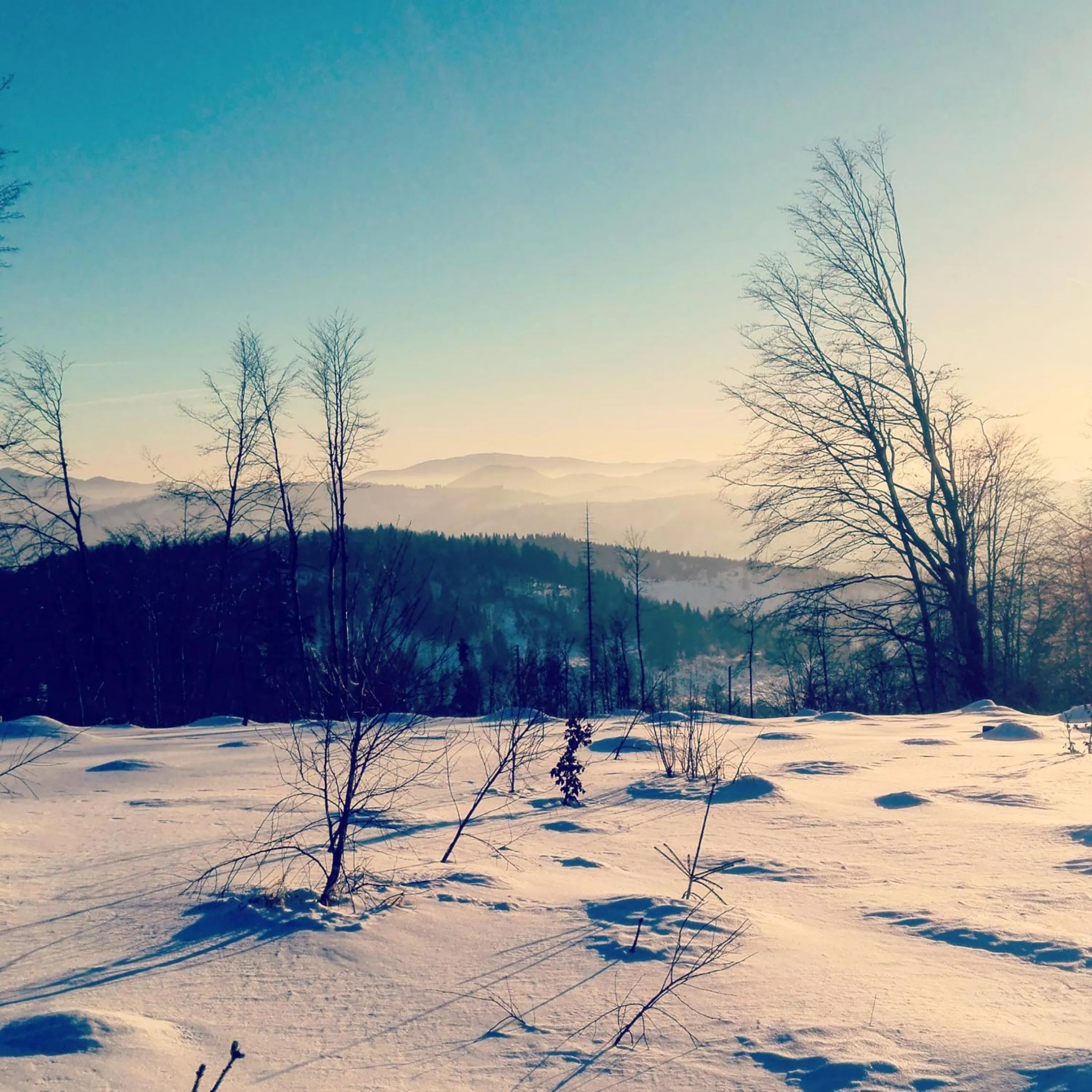 Winter in Apartmán 302 Oščadnica