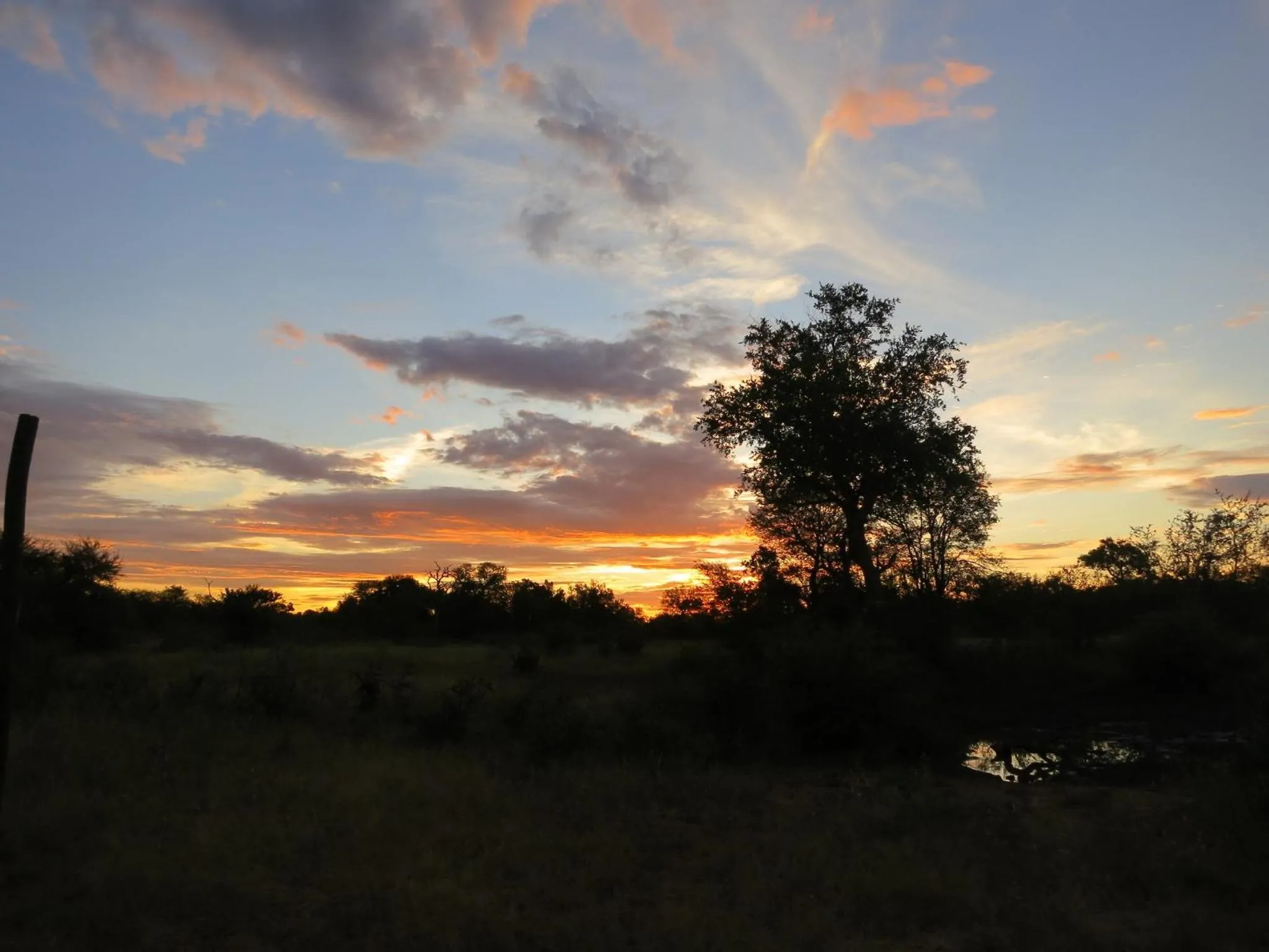 View (from property/room) in Makumu Private Game Lodge