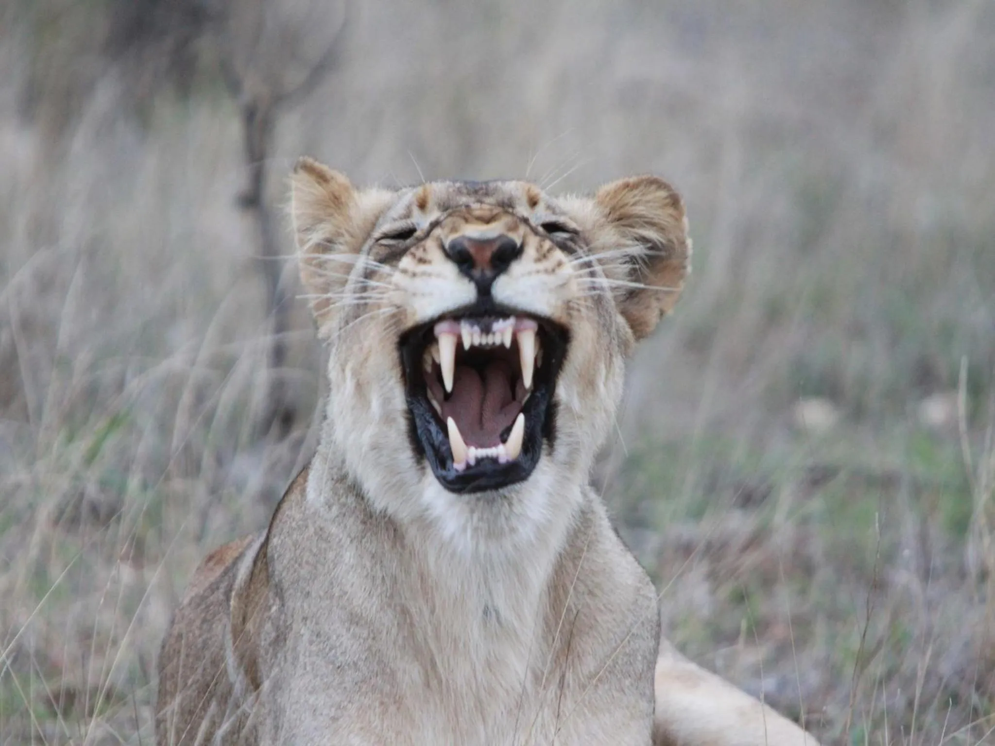 Spring in Makumu Private Game Lodge