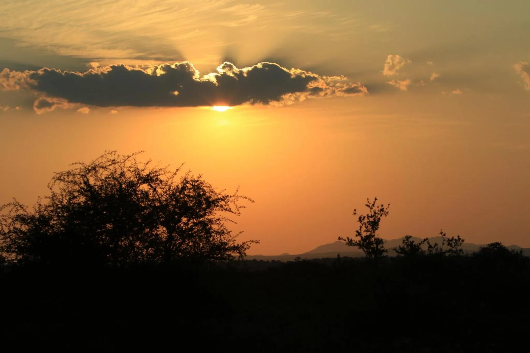 Winter in Makumu Private Game Lodge