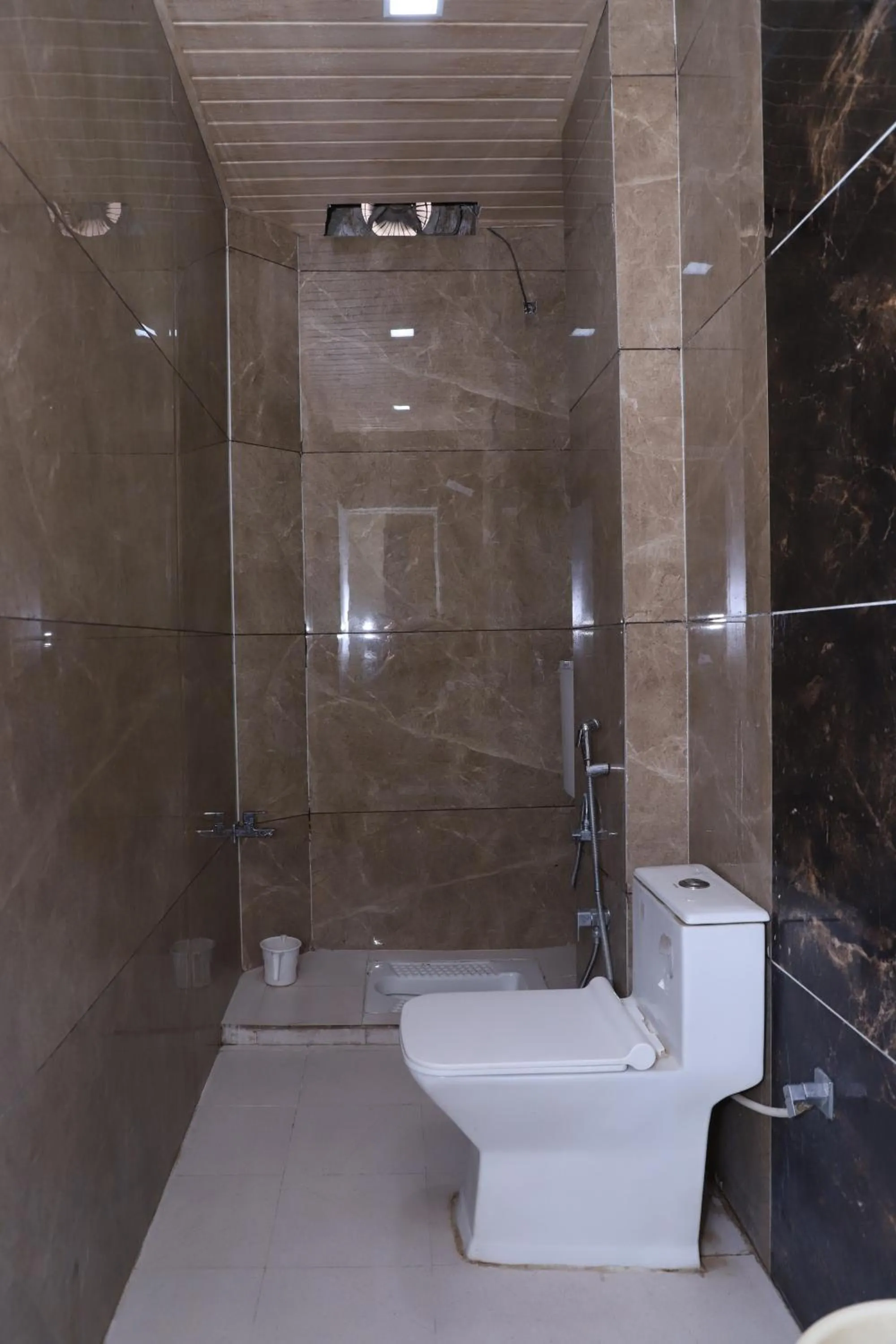 Shower in Hotel Mittal Inn