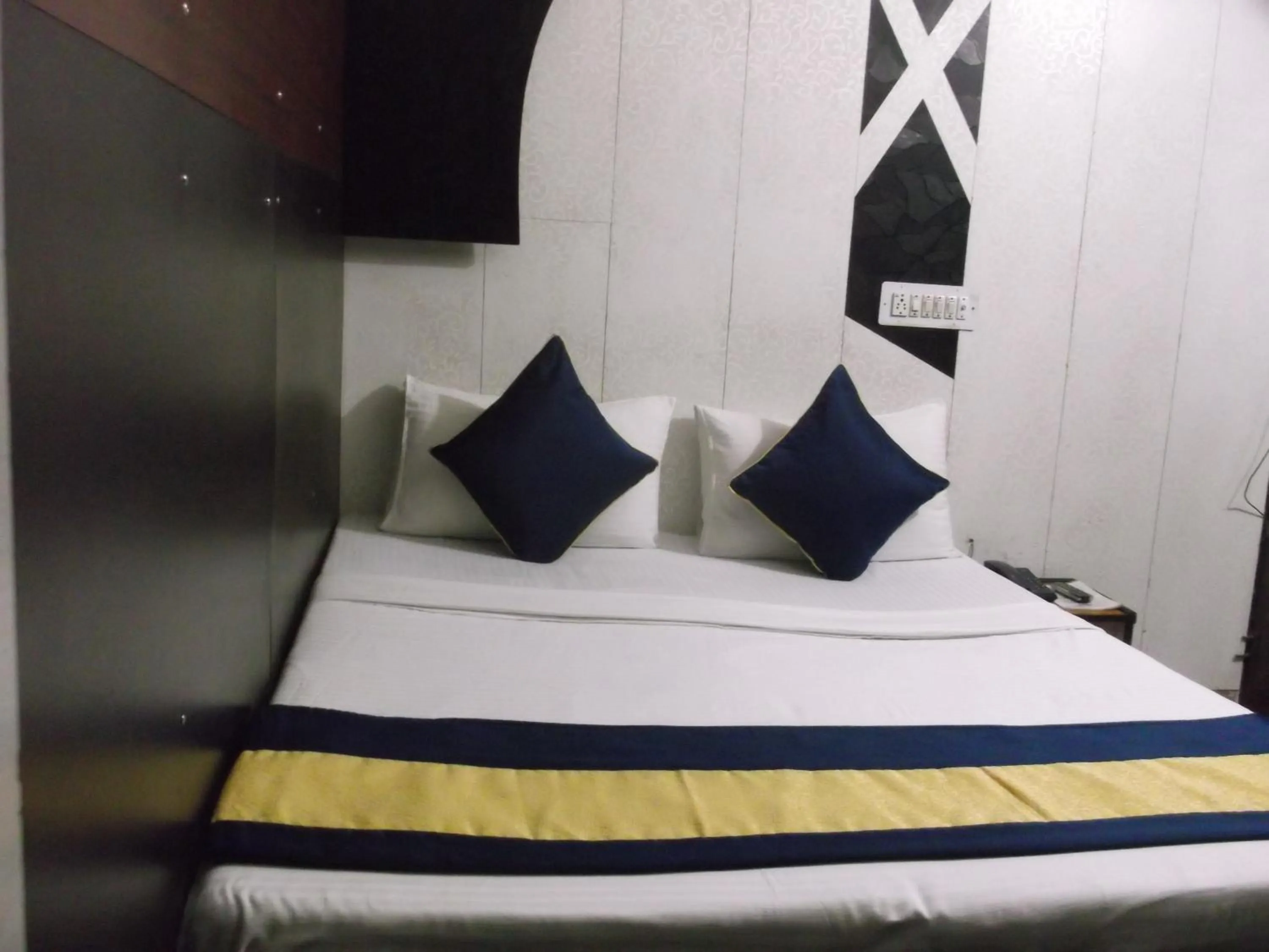 Winter in Hotel Abhineet Palace