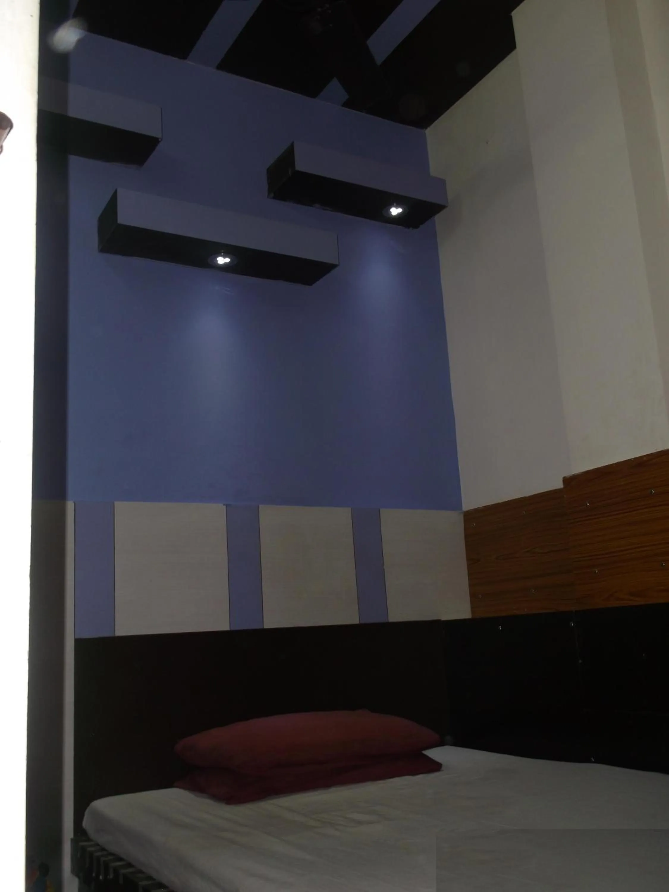 Day in Hotel Abhineet Palace