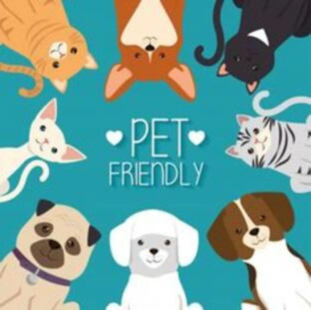 Pets in Camere "Riviera di Ulisse"