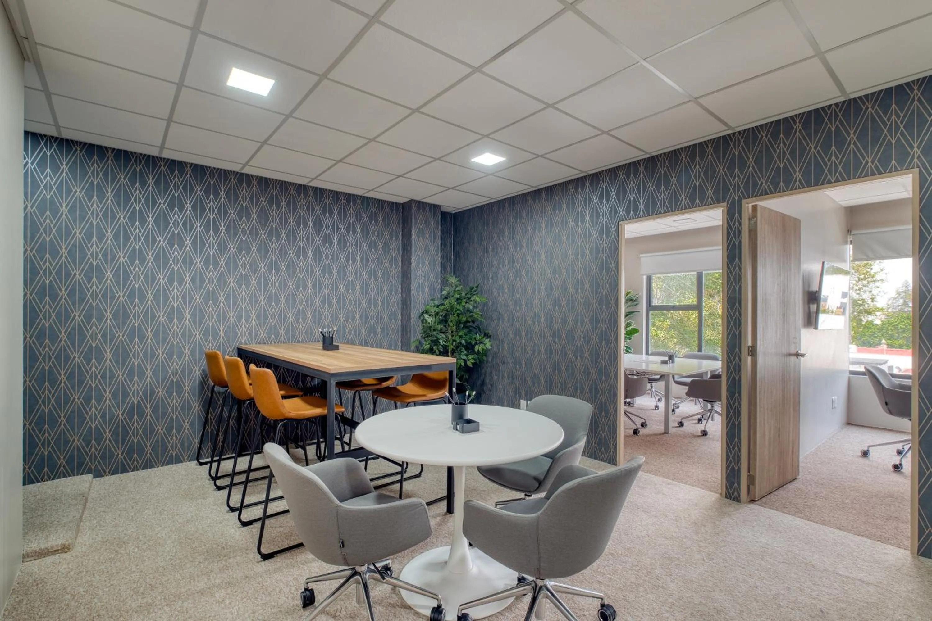 Business facilities in District Polanco by Lumina