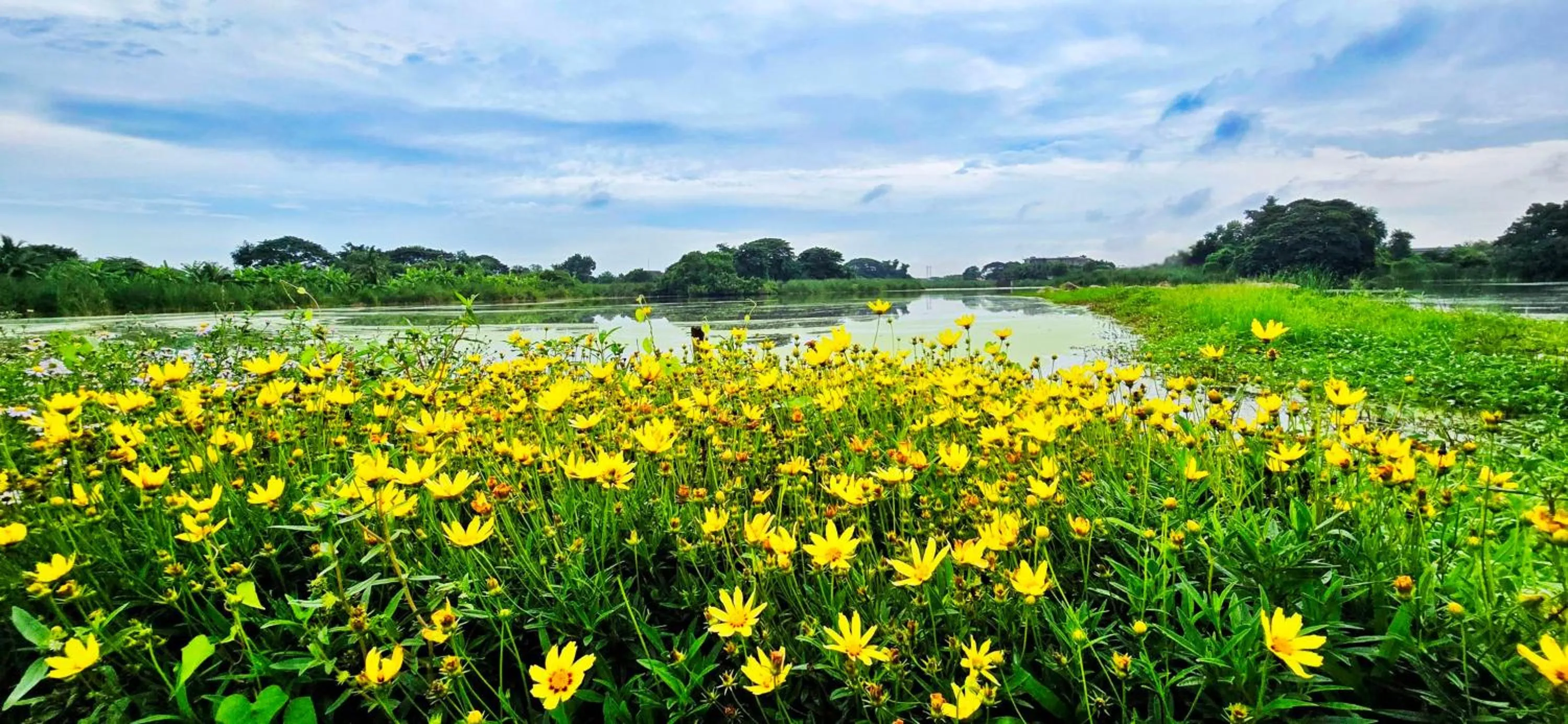 Garden in Tiny Island Lake Lodge