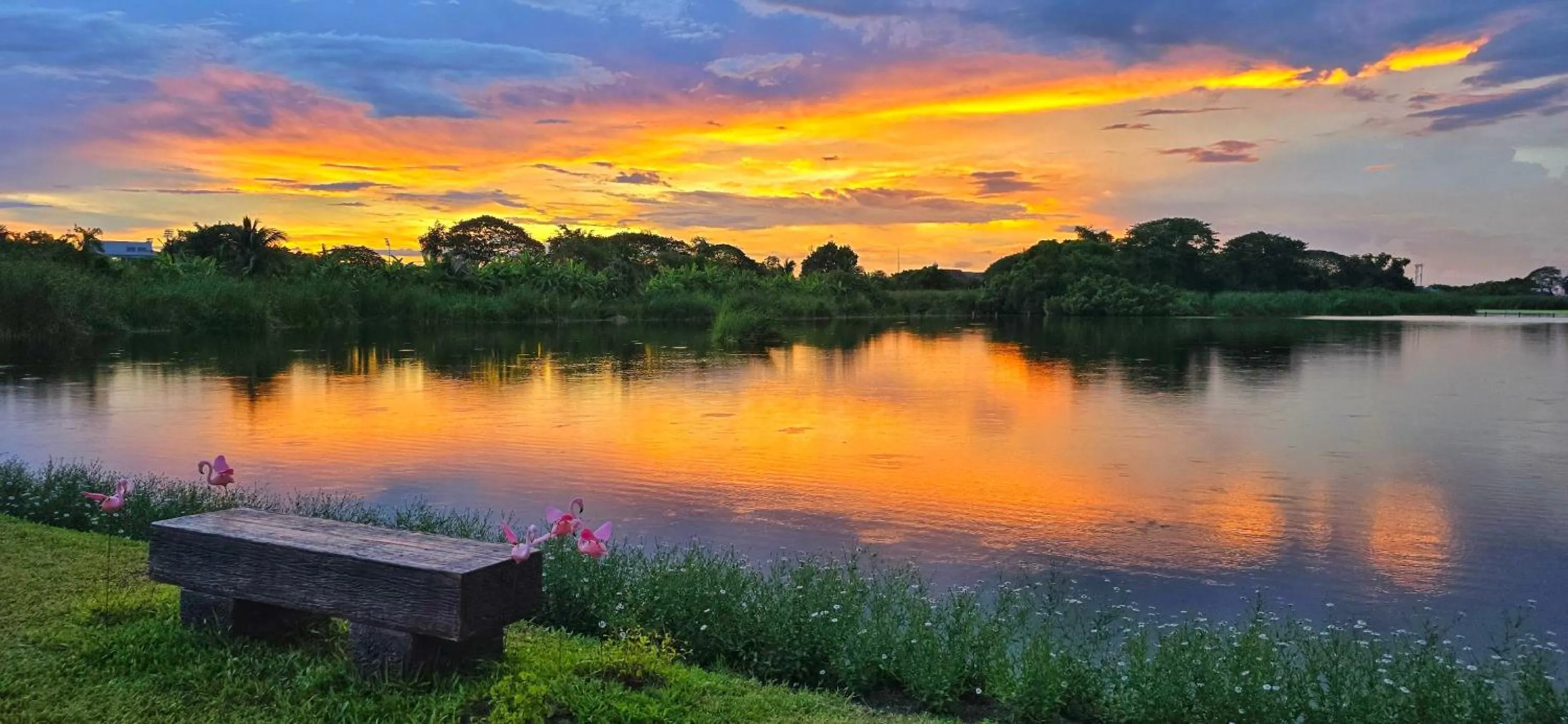 Garden in Tiny Island Lake Lodge
