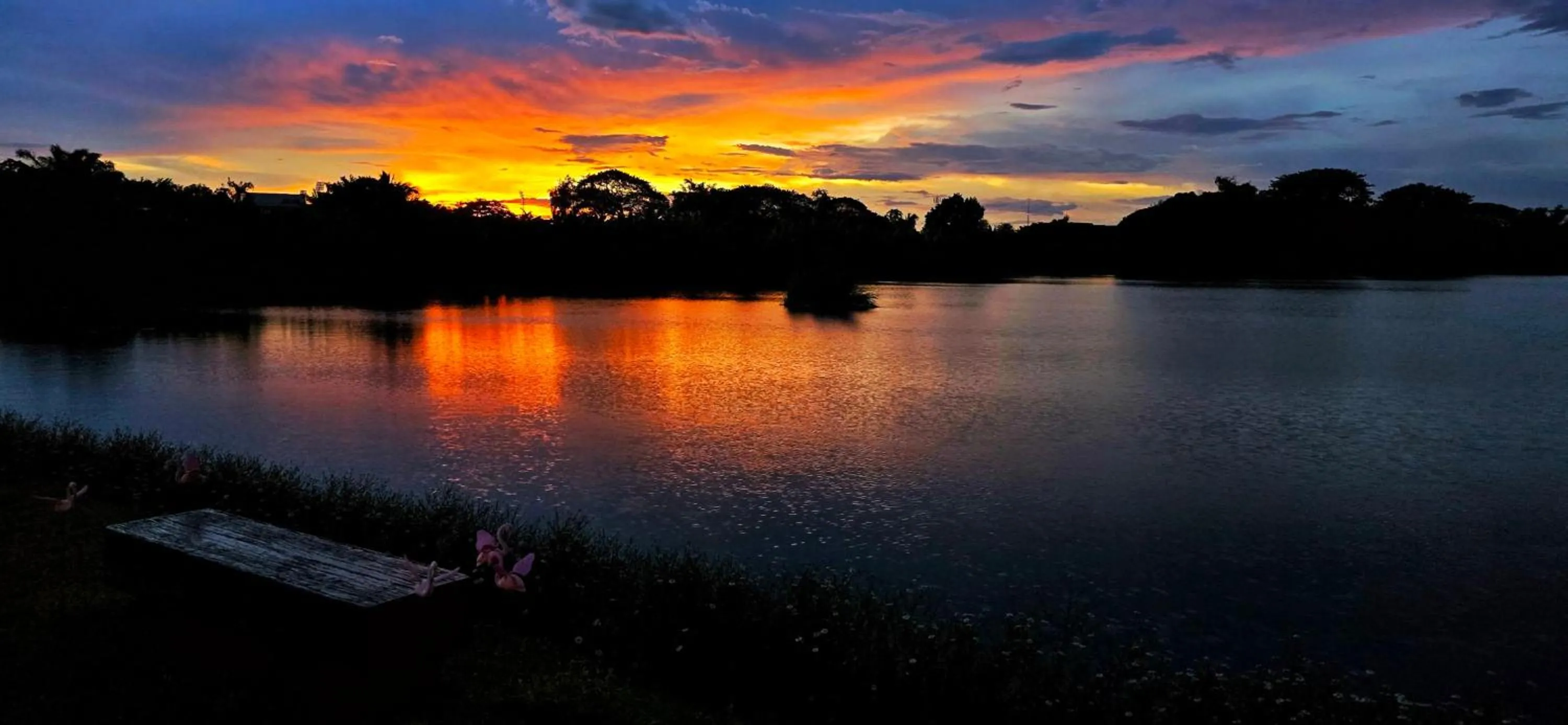 Garden in Tiny Island Lake Lodge