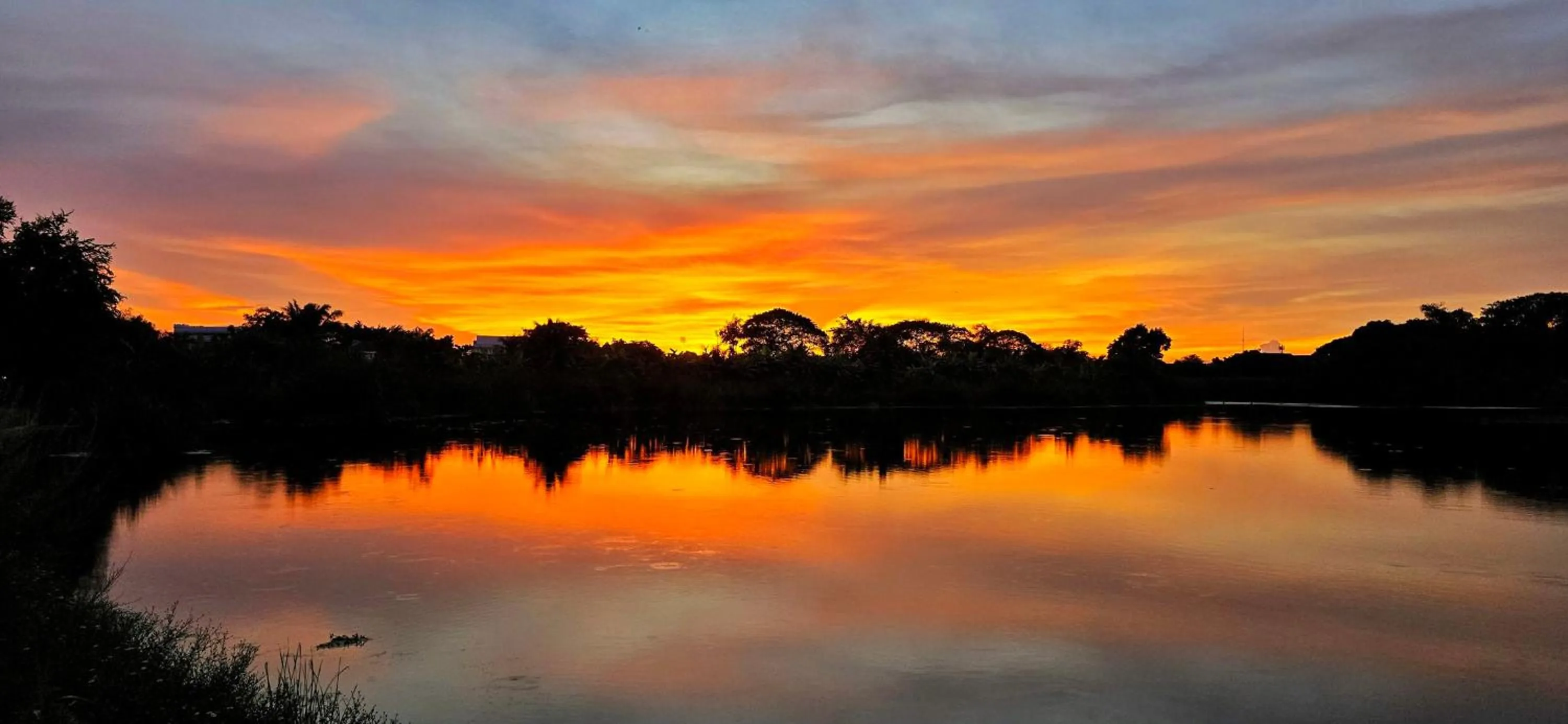 Garden in Tiny Island Lake Lodge