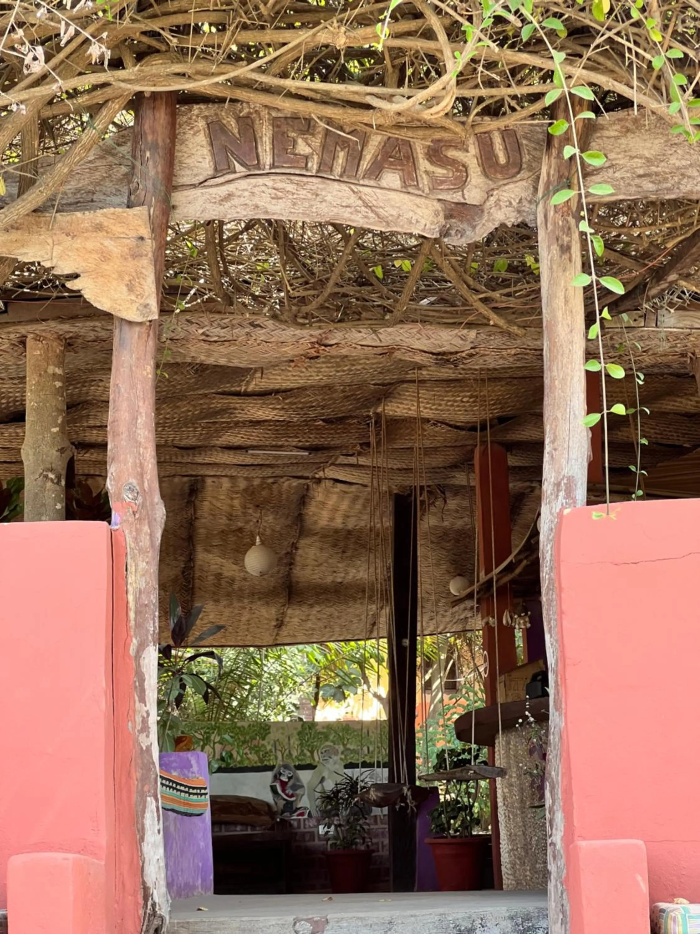Restaurant/places to eat in Nemasu Eco-lodge