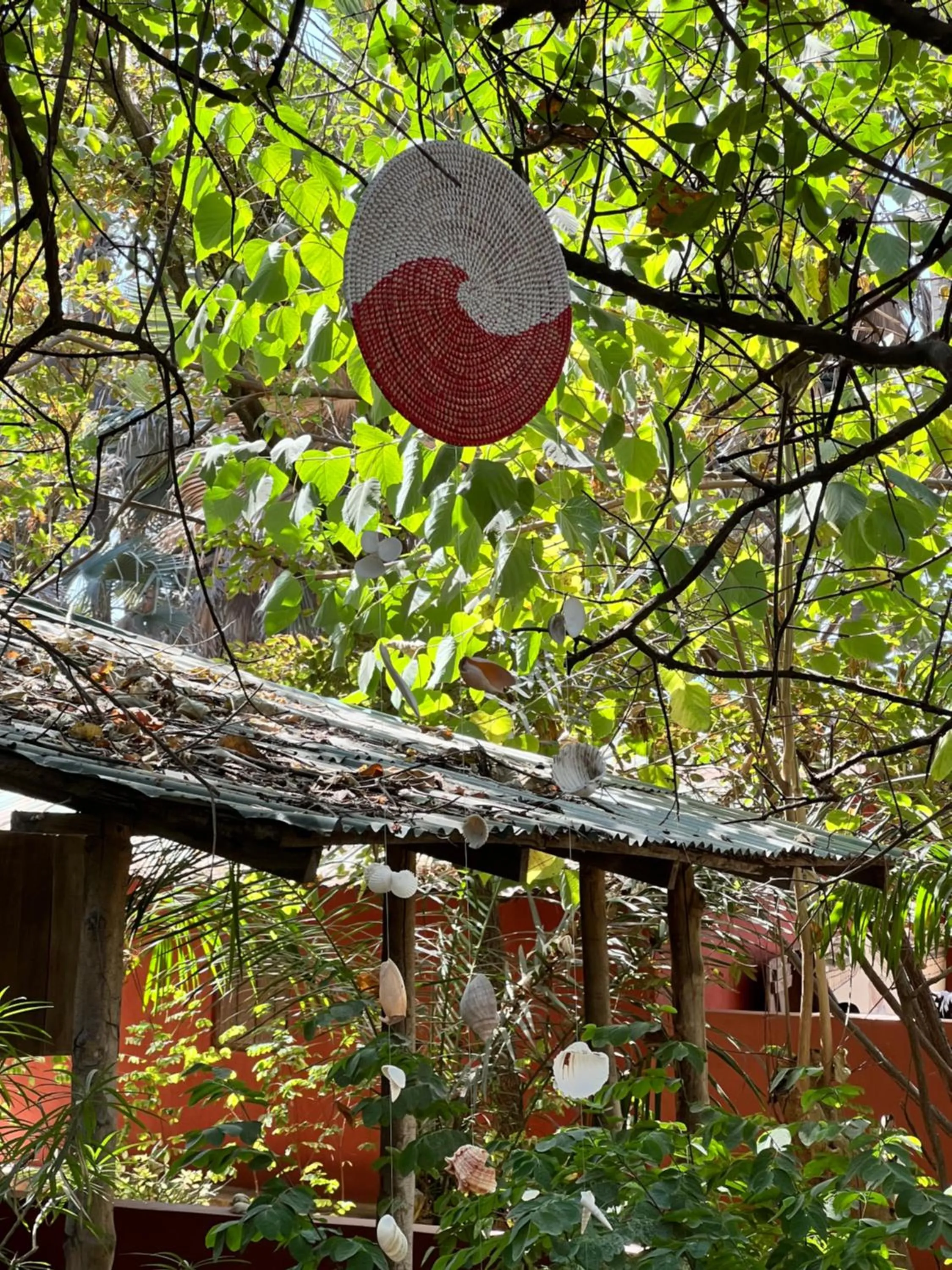Garden in Nemasu Eco-lodge