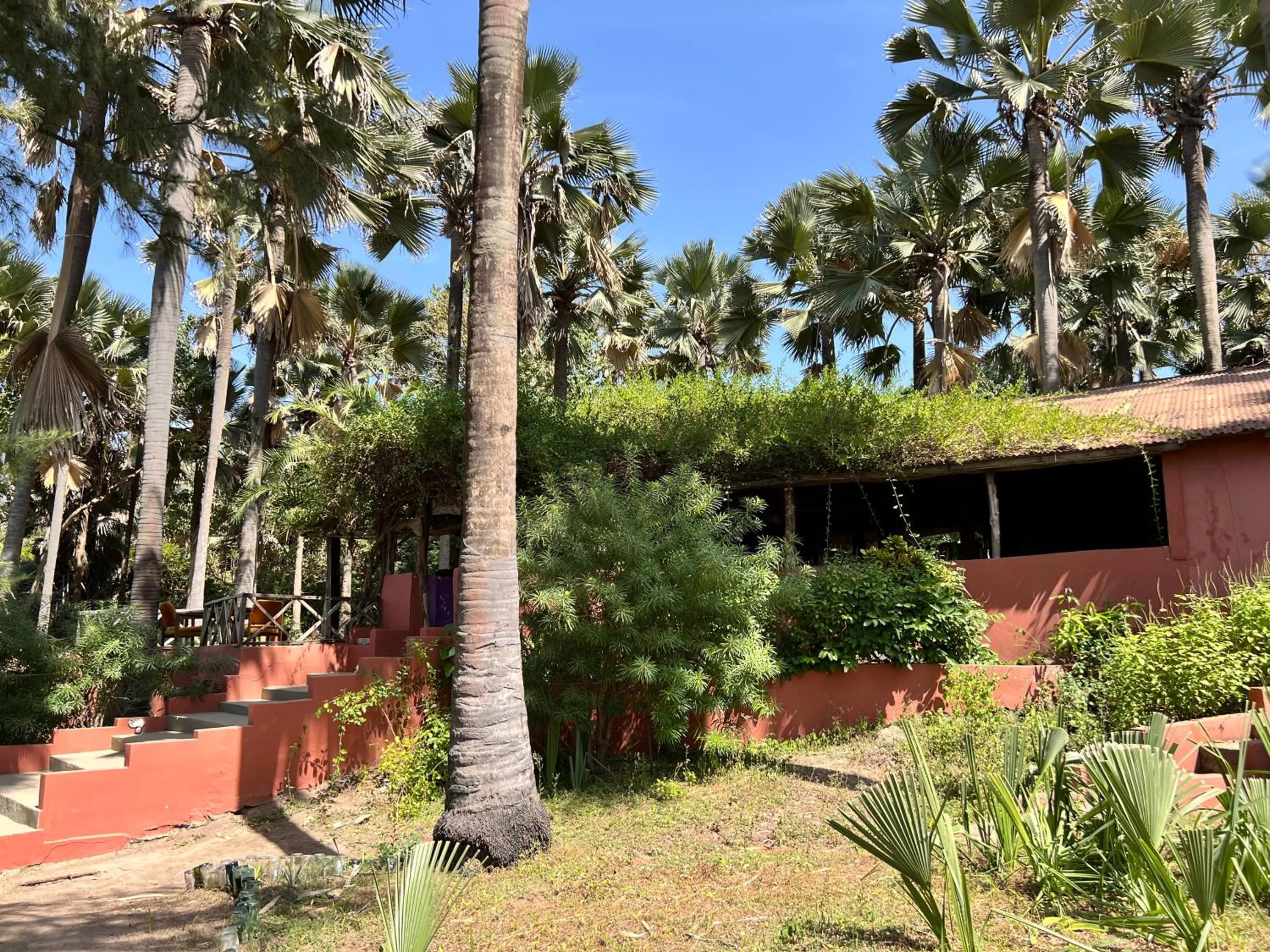 Garden in Nemasu Eco-lodge